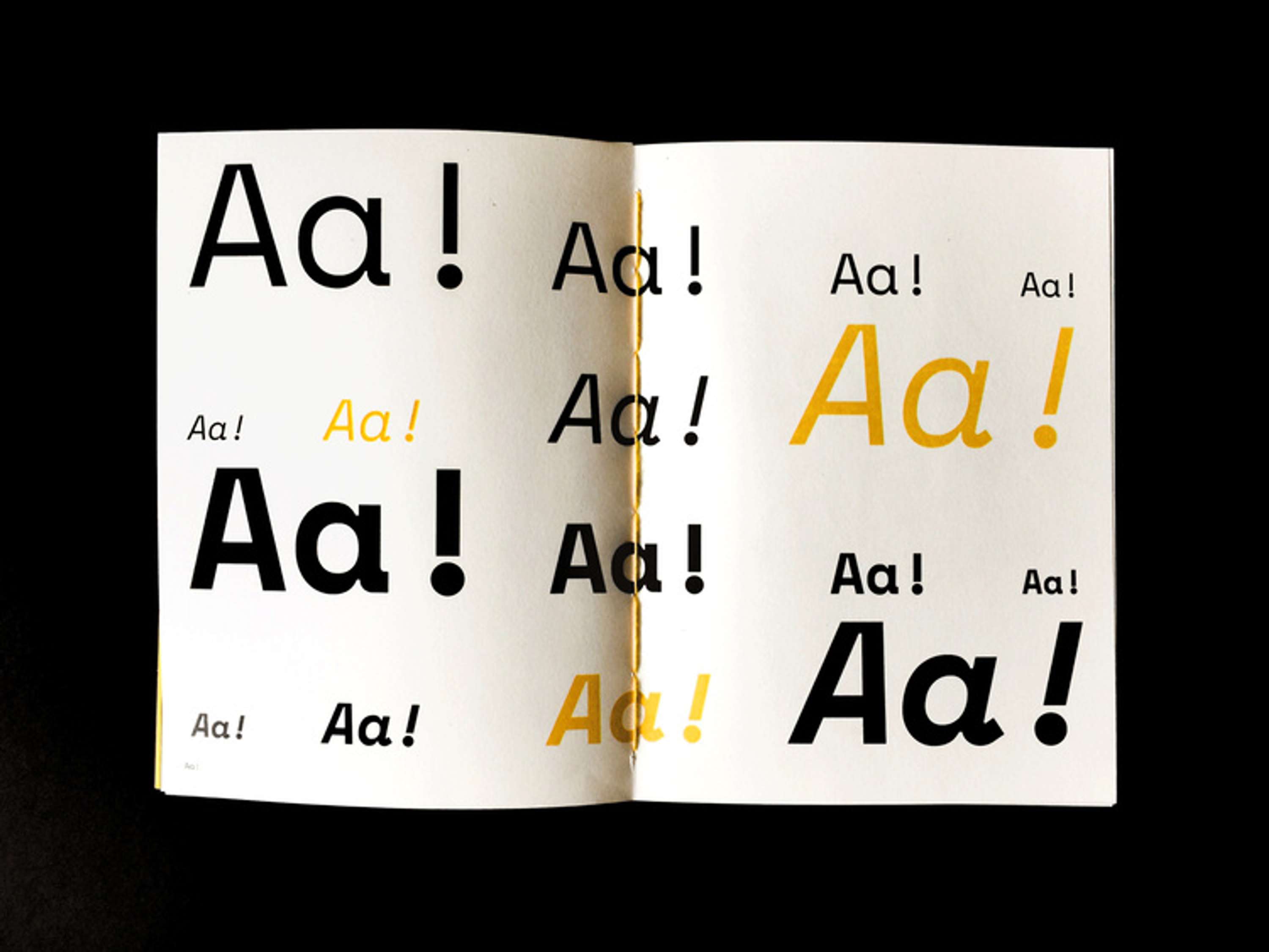 Specimen+ by Olly Lenain