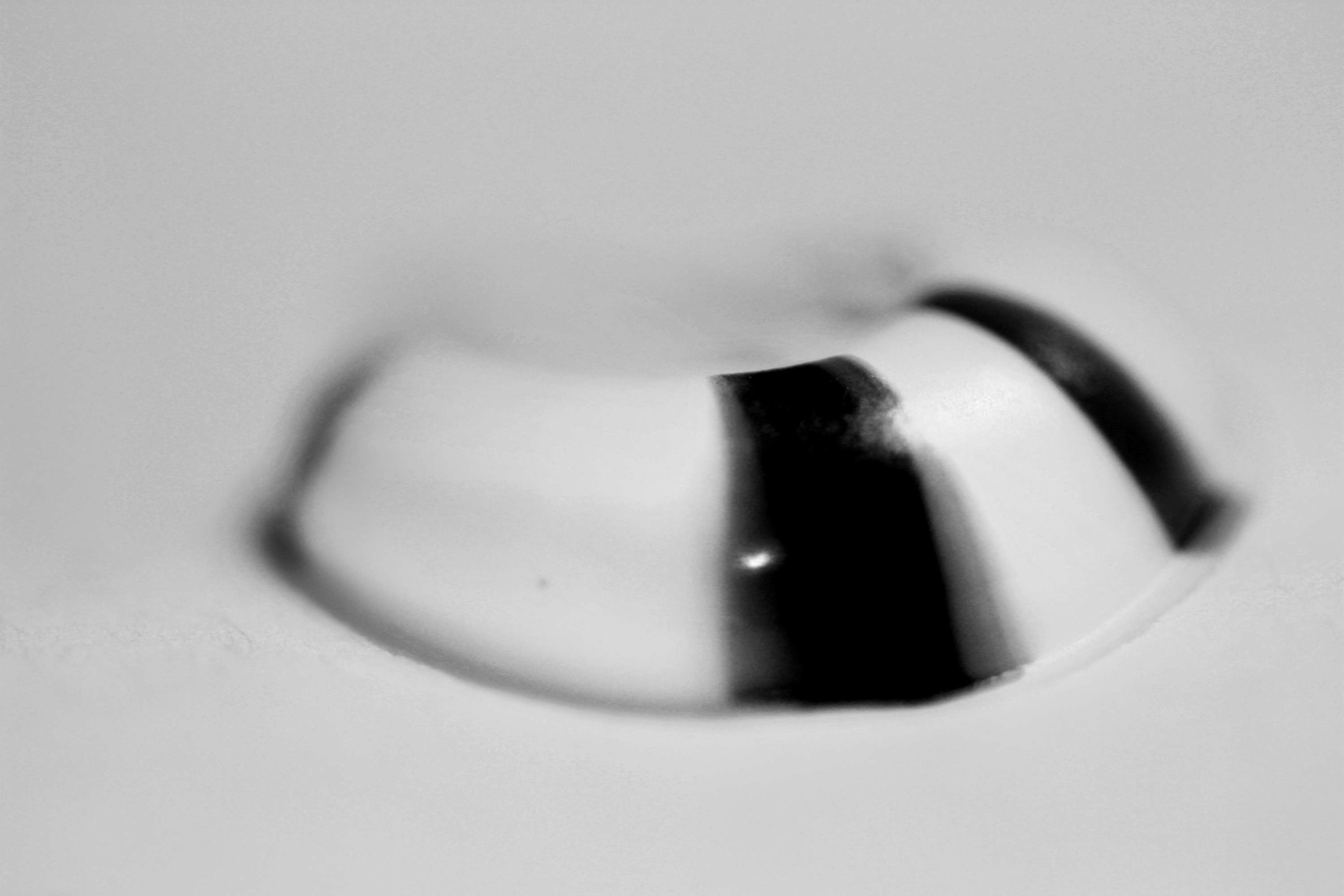 Toothpaste Decoded by Nada Abughris