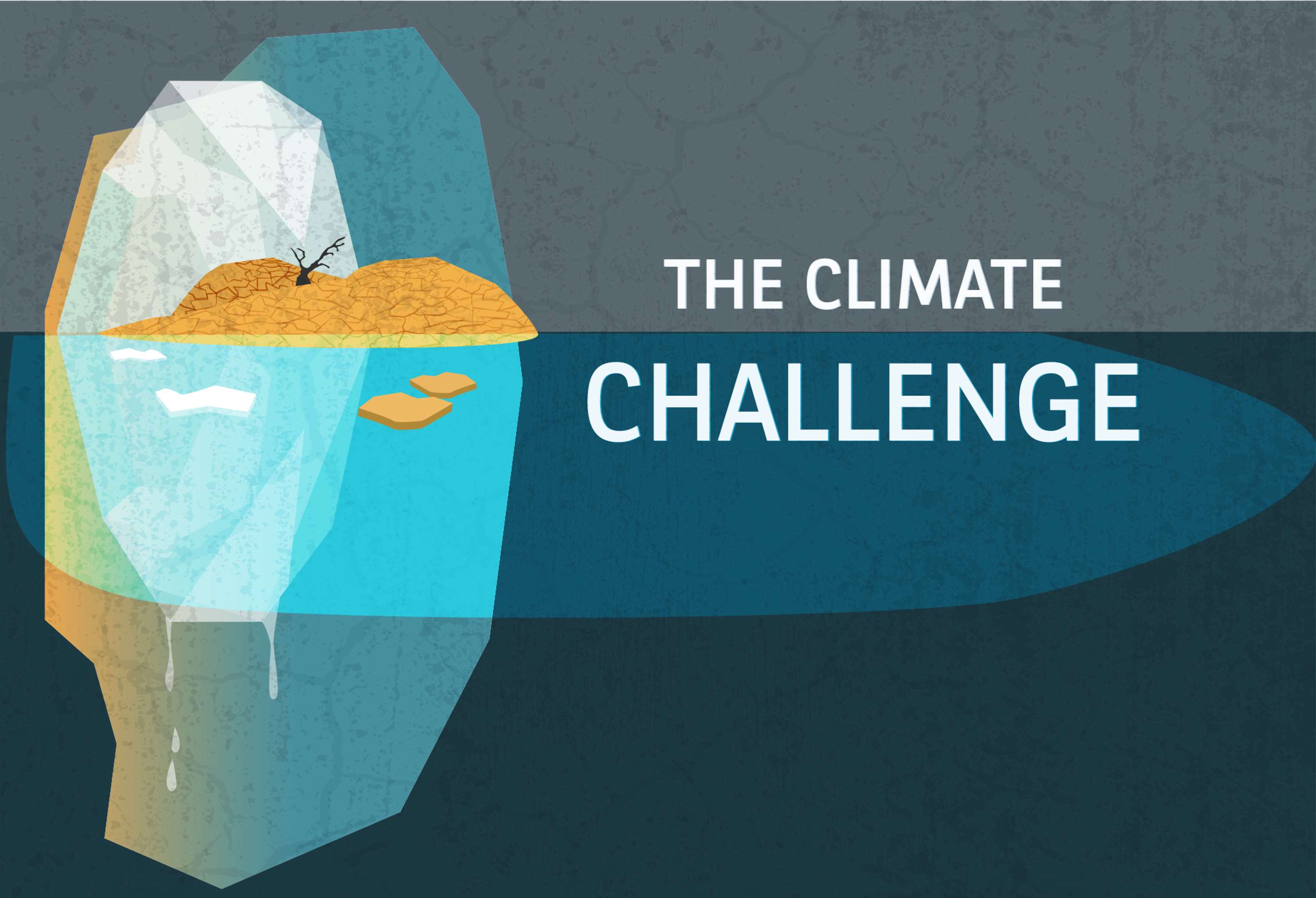 On The Verge Challenge by Joana Batista