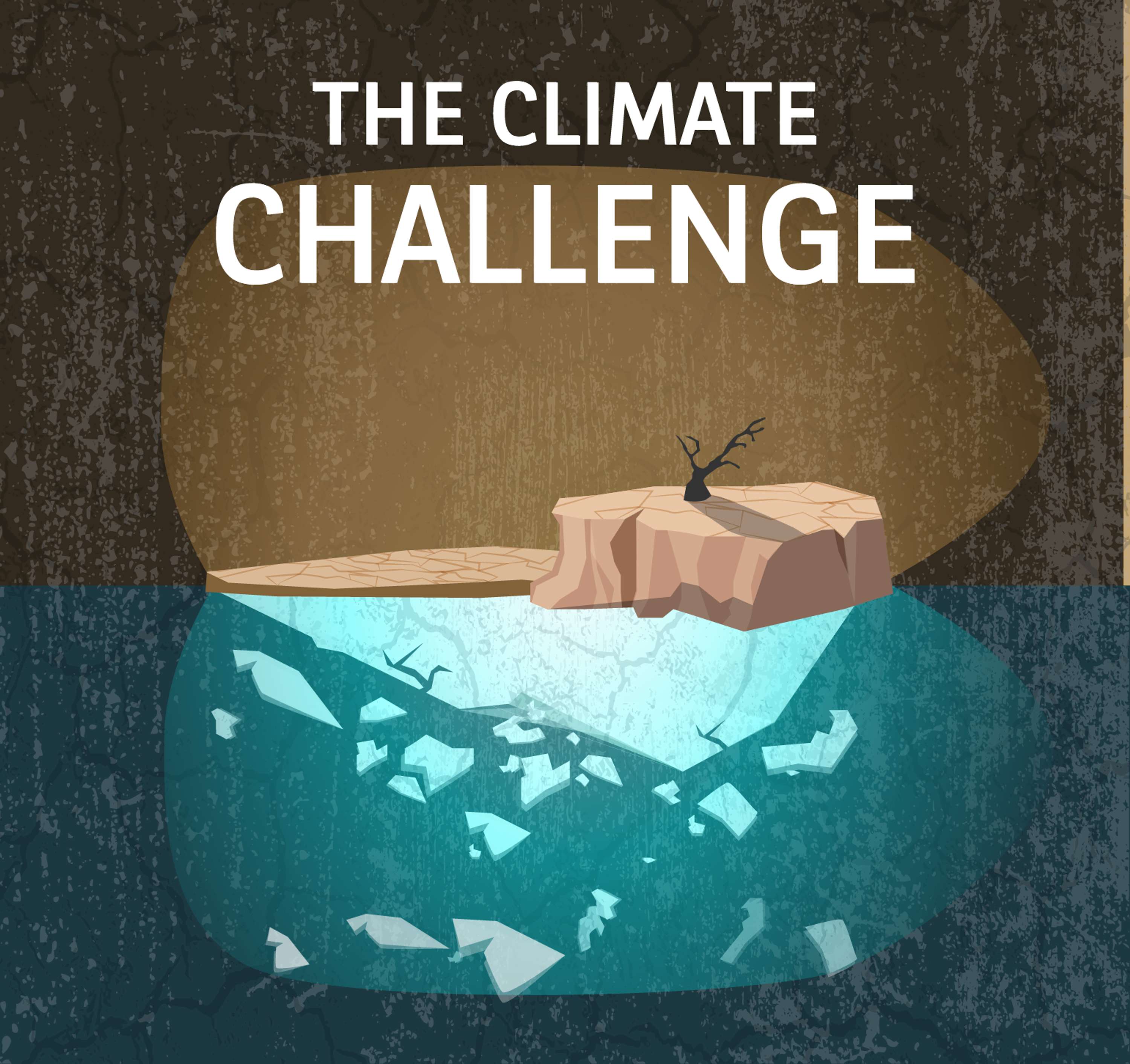 On The Verge Challenge by Joana Batista