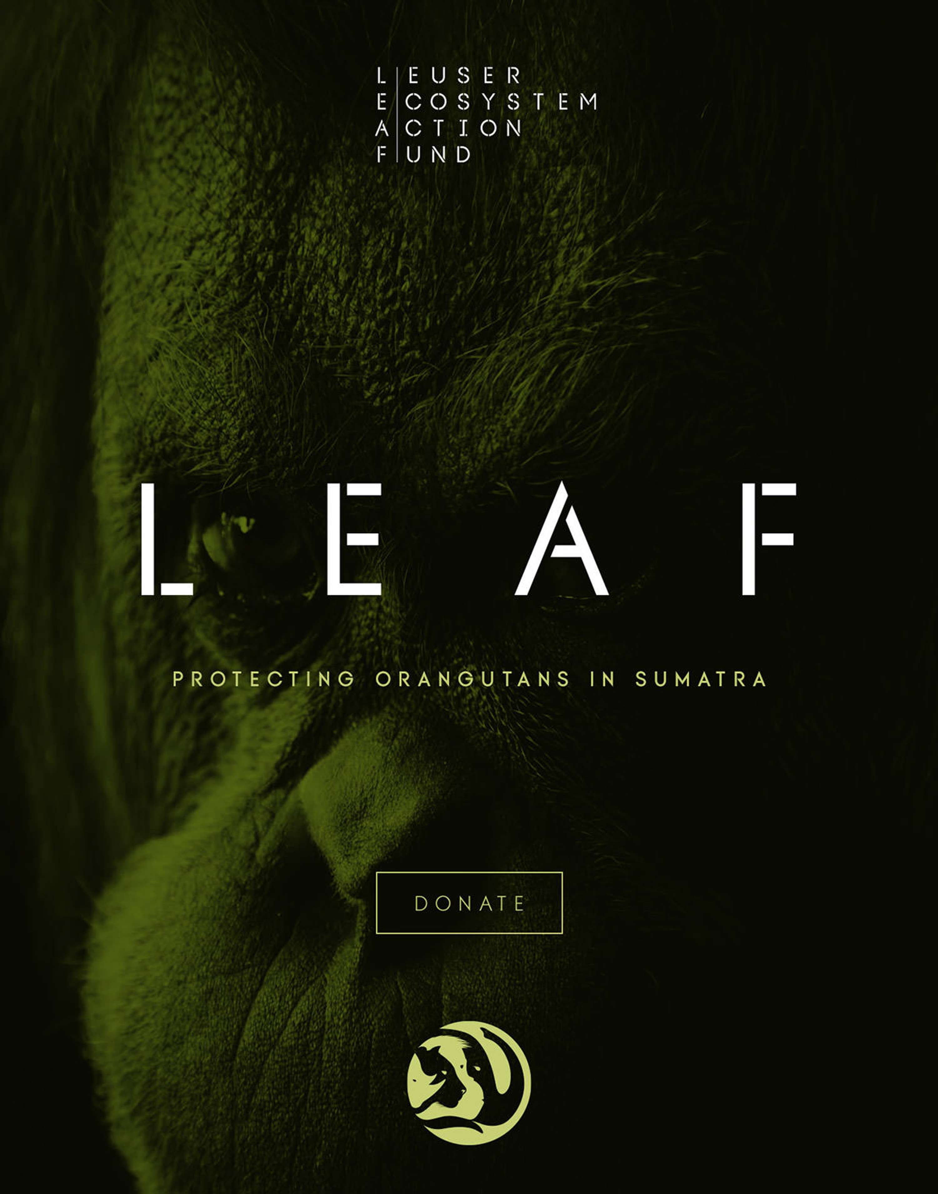 Leuser Ecosystem Action Fund [LEAF] by Superfried