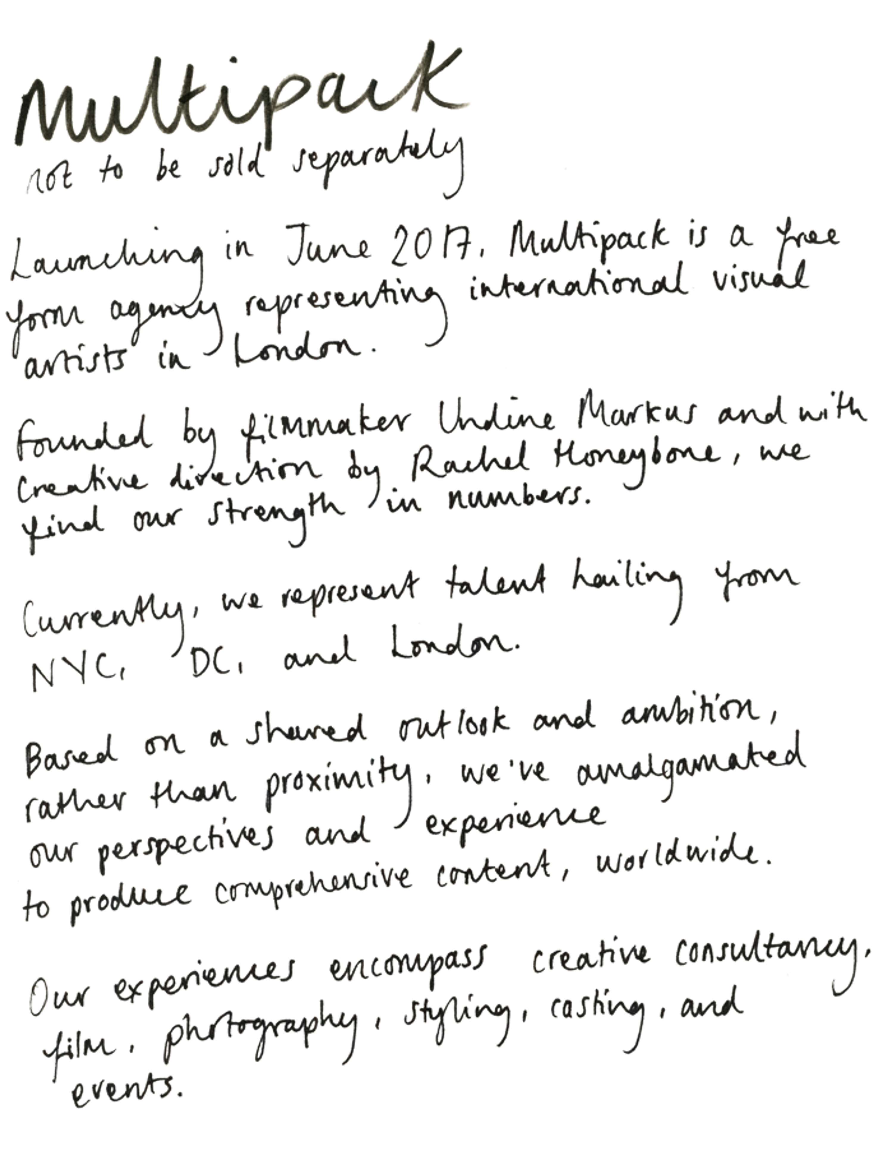 Multipack - parts of website by Rachel Honeybone