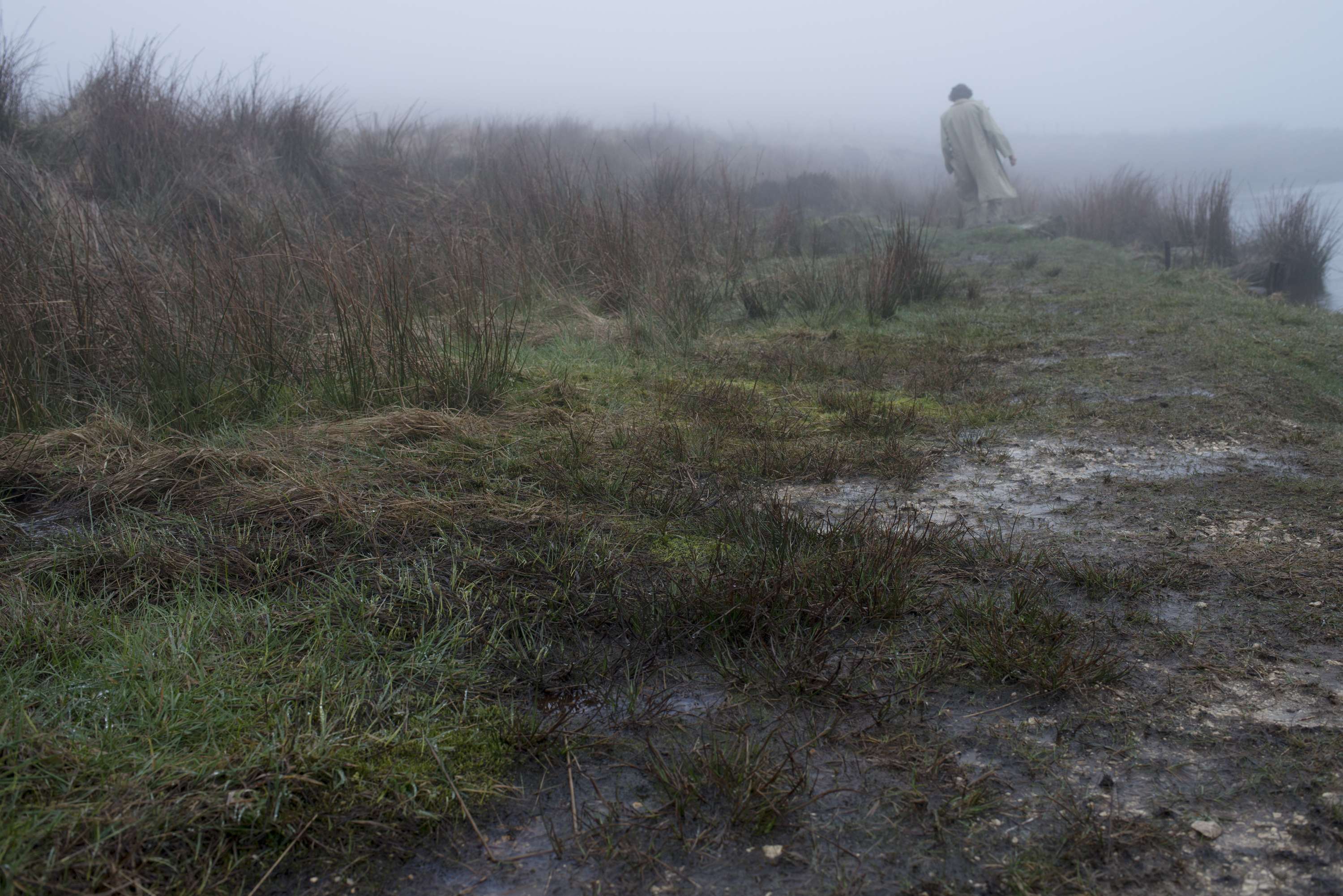 Fogged by Joe Durr