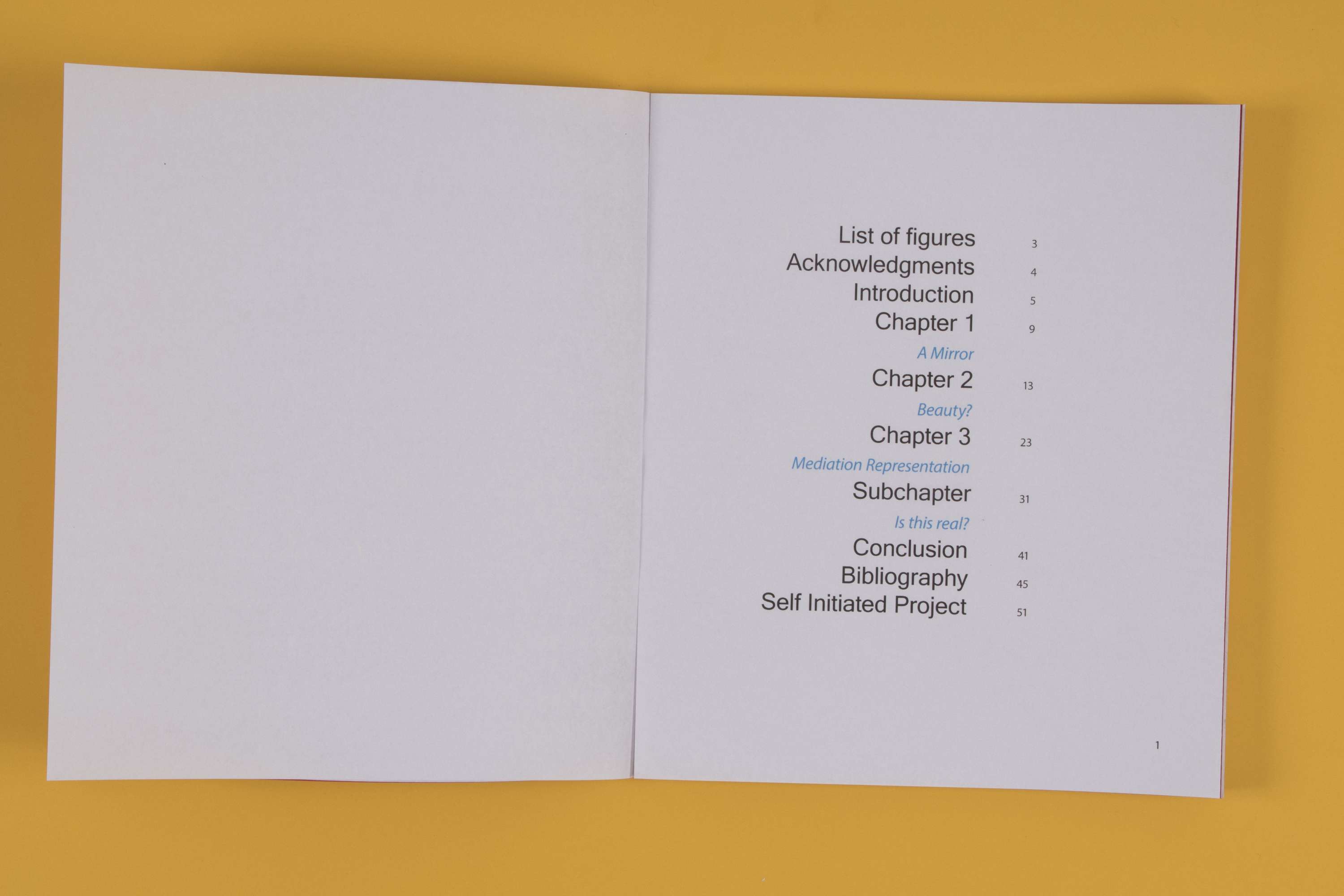 Dissertation publication by Holly Small