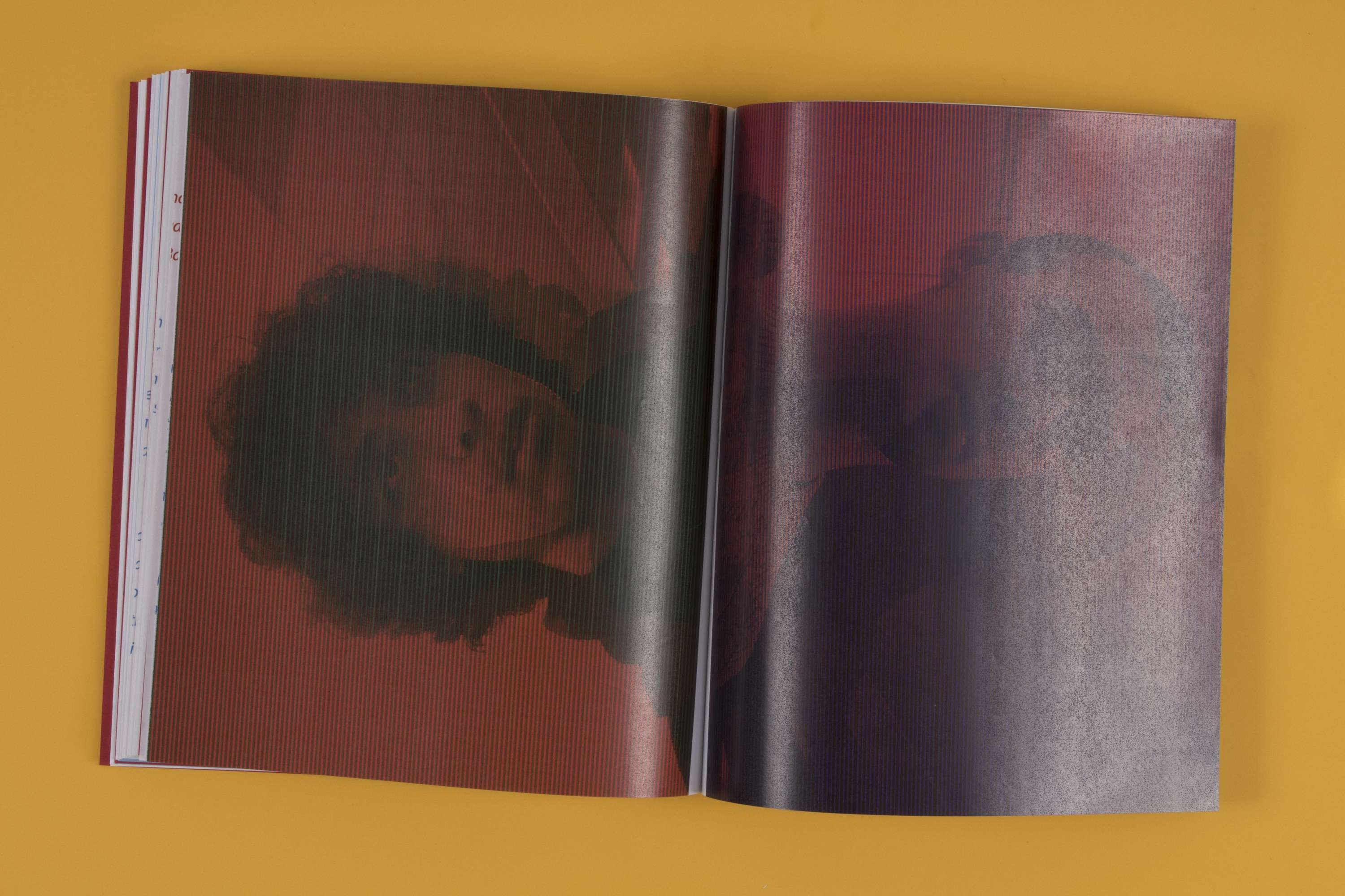 Dissertation publication by Holly Small