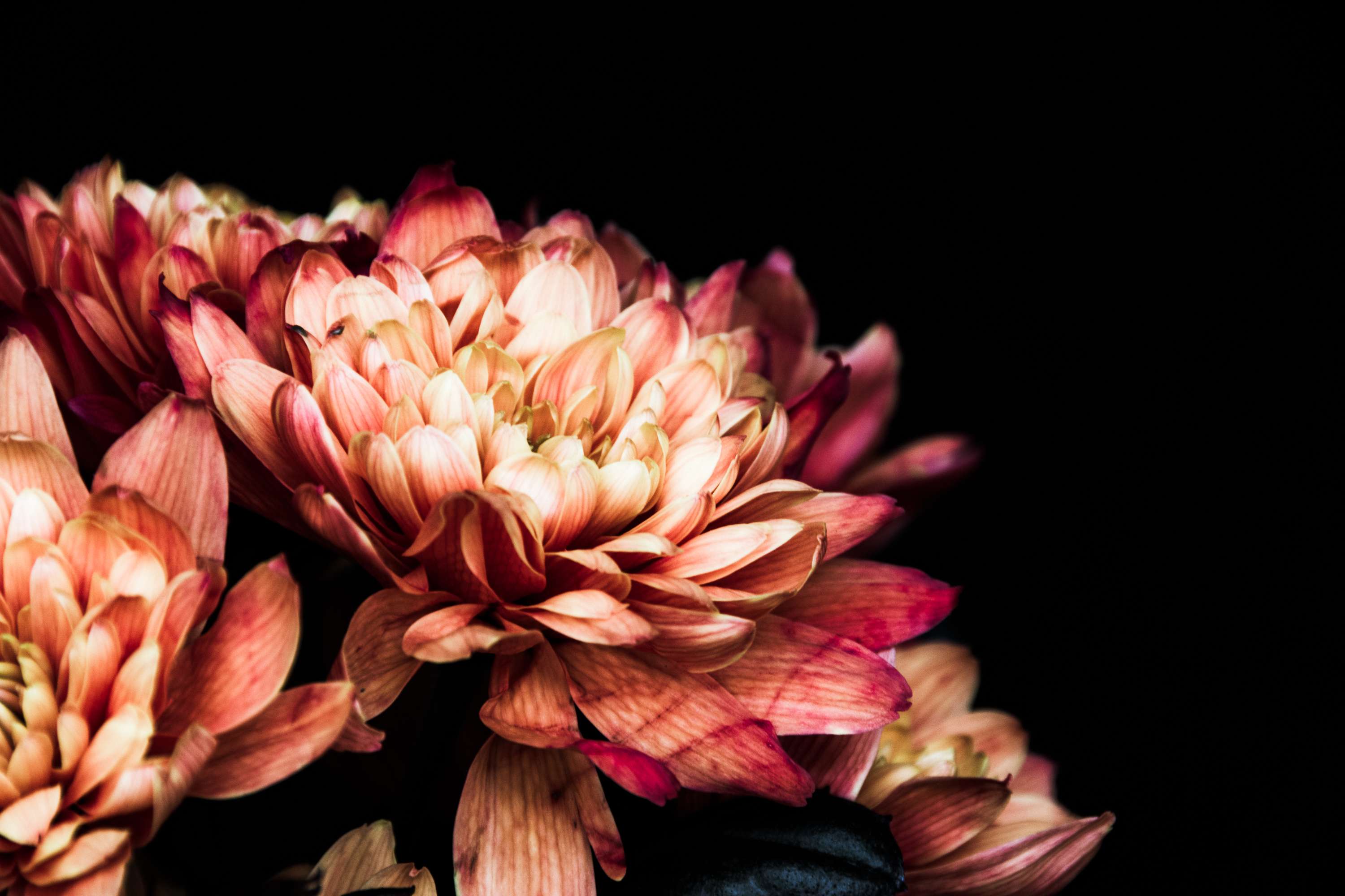 Hyper Natural by Juliet Alliban