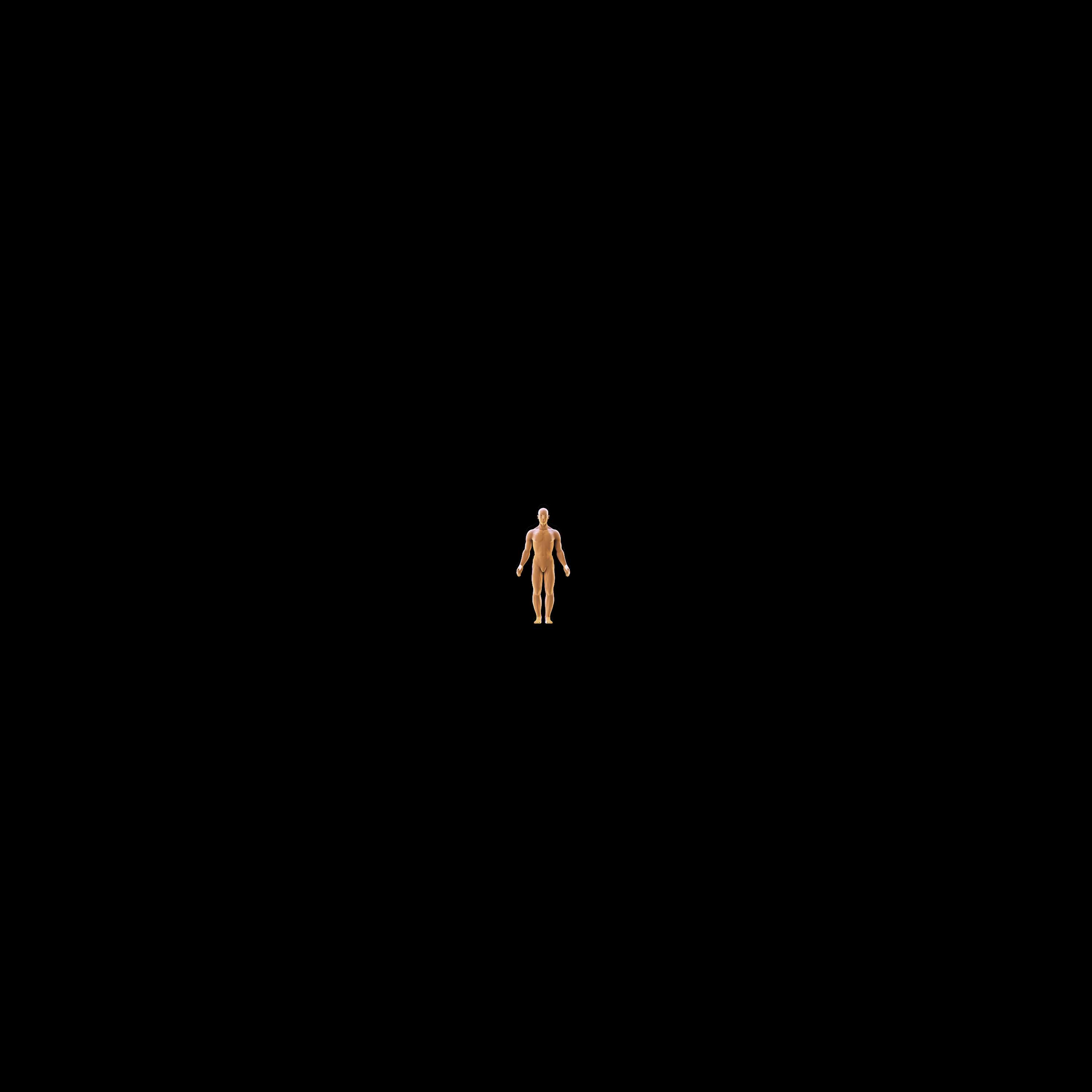 human body study by João Narciso