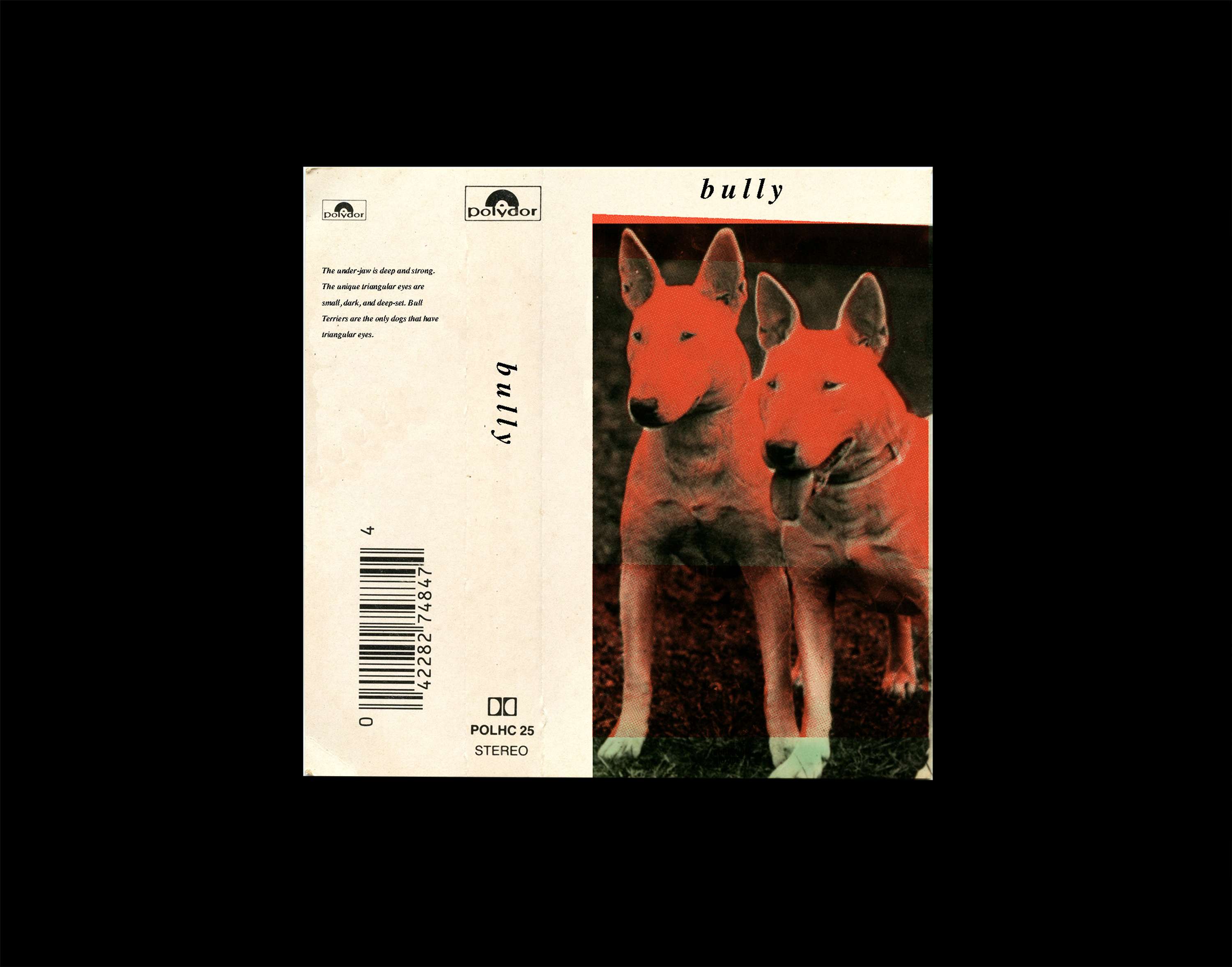 BULLY by Charlotte Humphries
