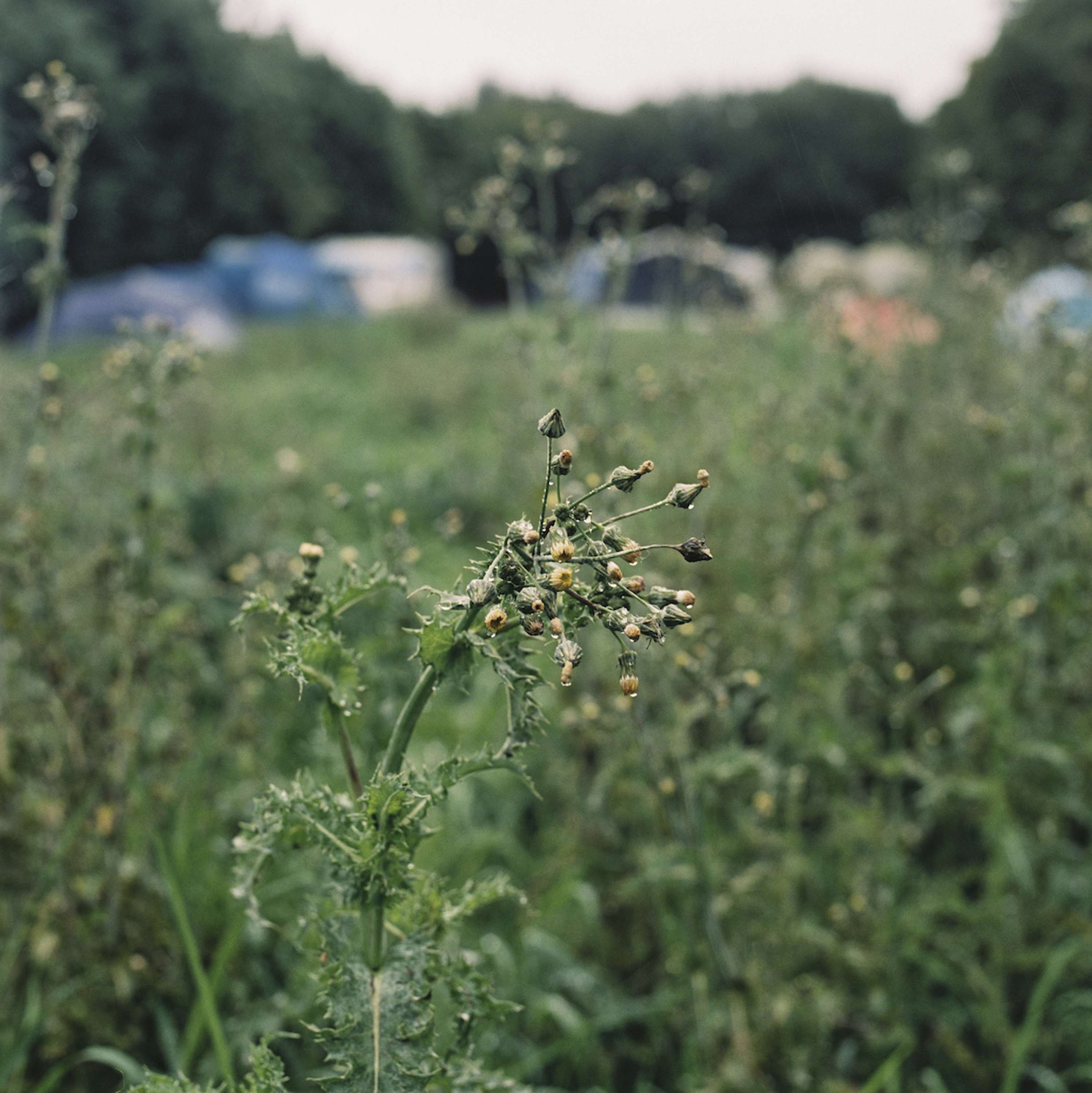 Rhiannon Adam: Fracking in the UK by Studio 1854 – British Journal of Photography
