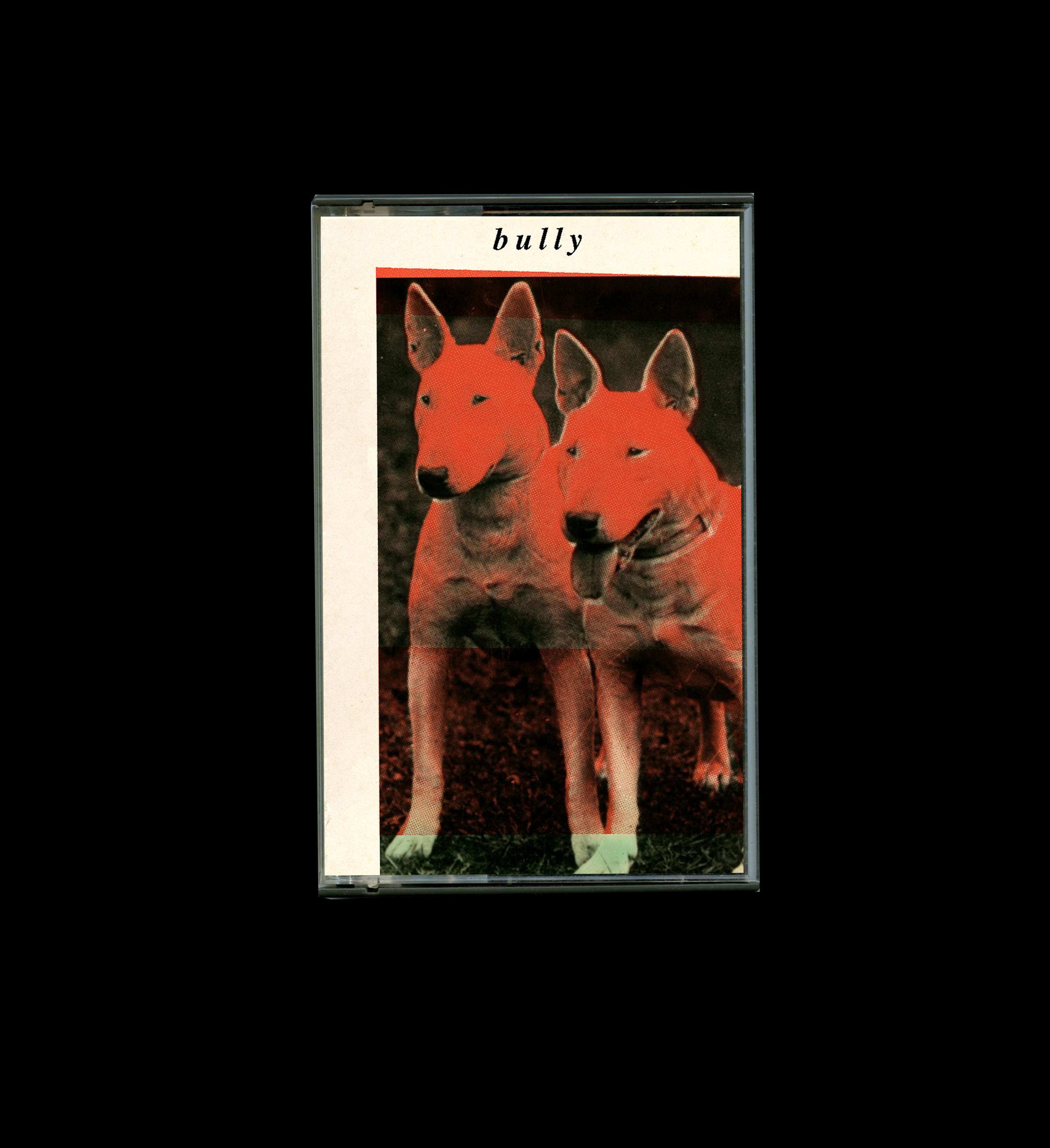 BULLY by Charlotte Humphries