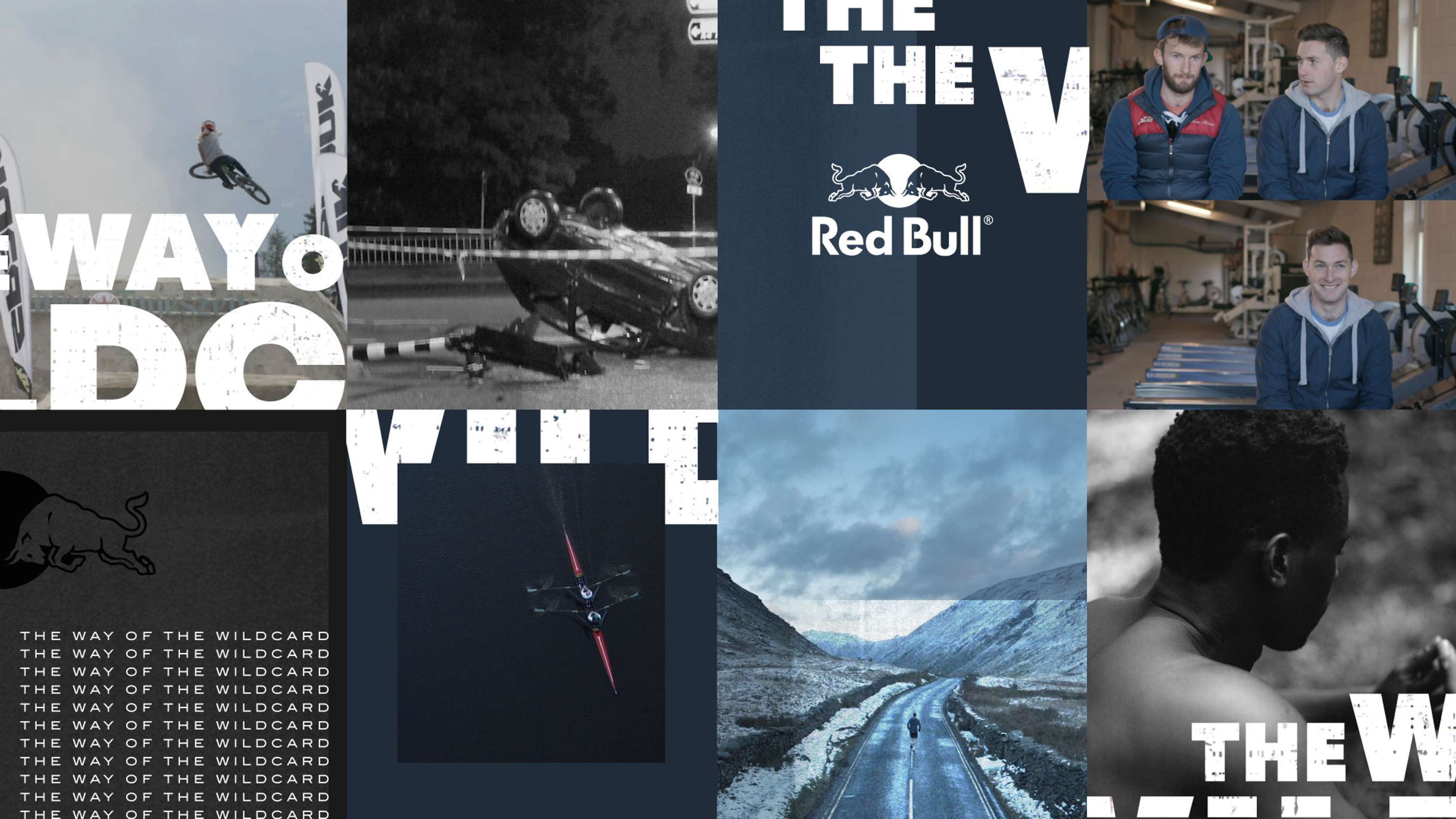 Red Bull - The Way of the Wildcard by Lily Ludford