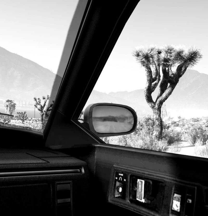 Lee Friedlander - America by Car by Alexander Rifai