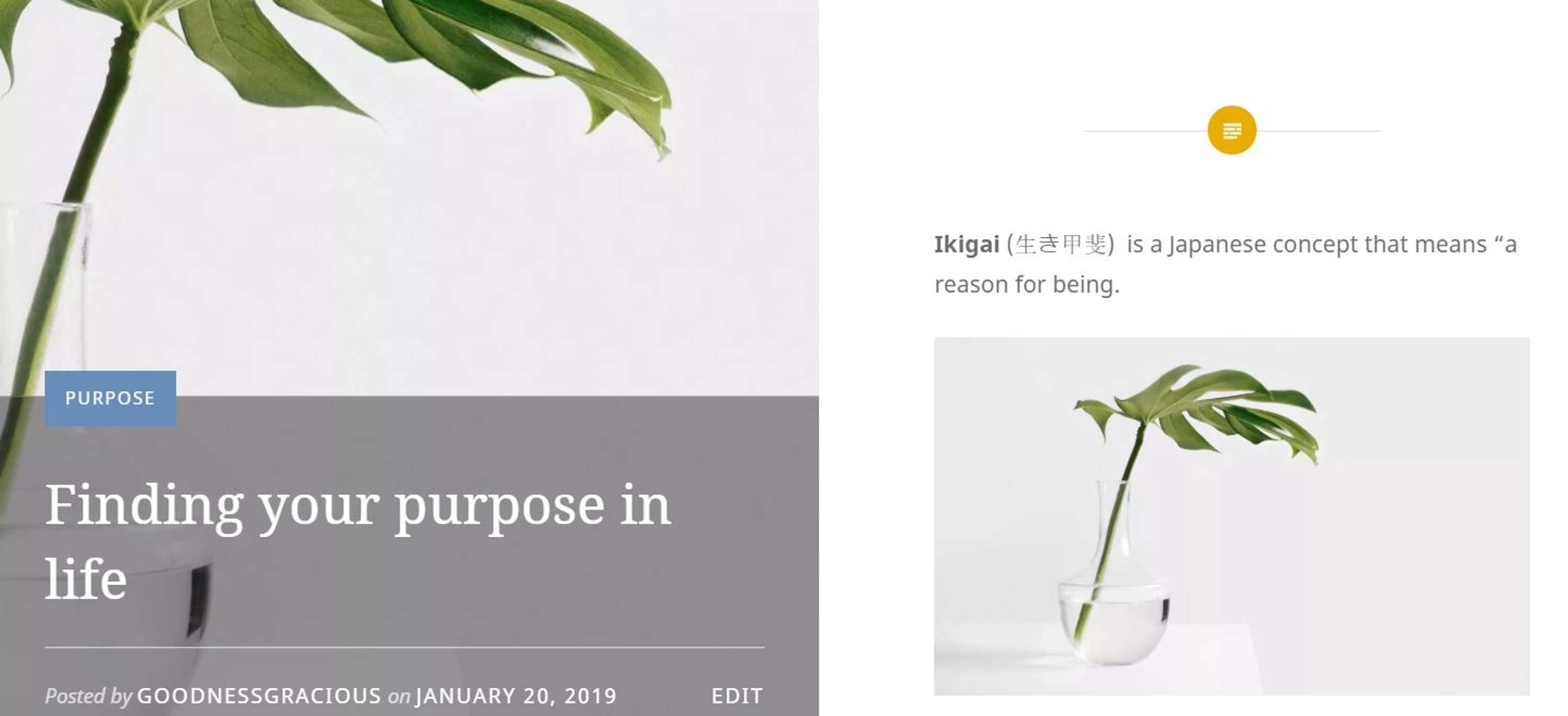 Finding your purpose by Grace Amelia Phelan