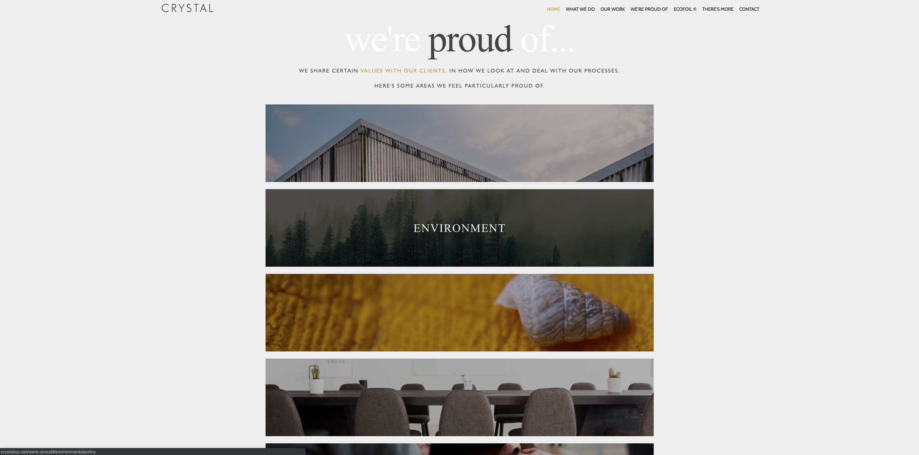Website Design - Crystal by stephen packwood
