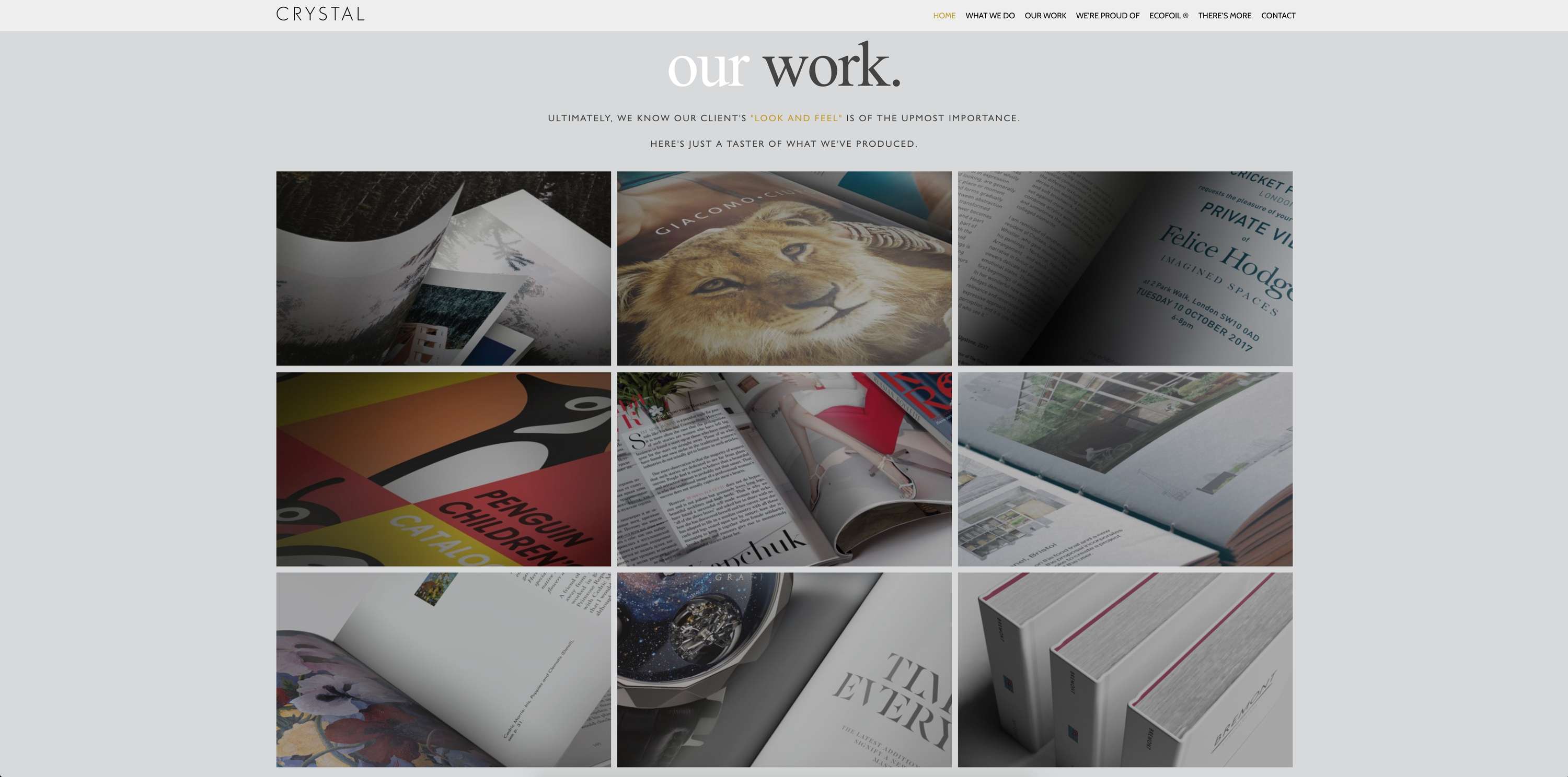 Website Design - Crystal by stephen packwood