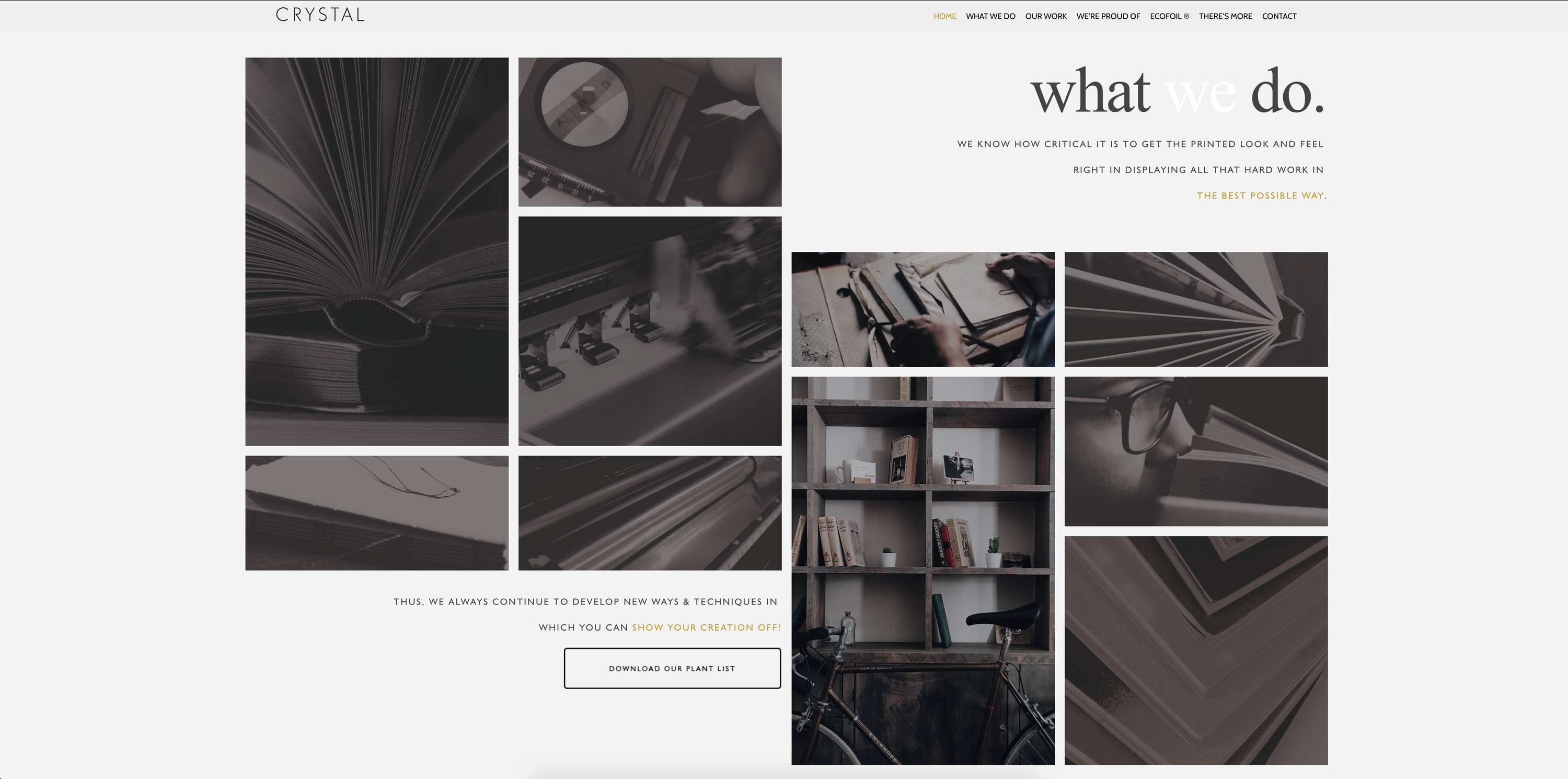 Website Design - Crystal by stephen packwood