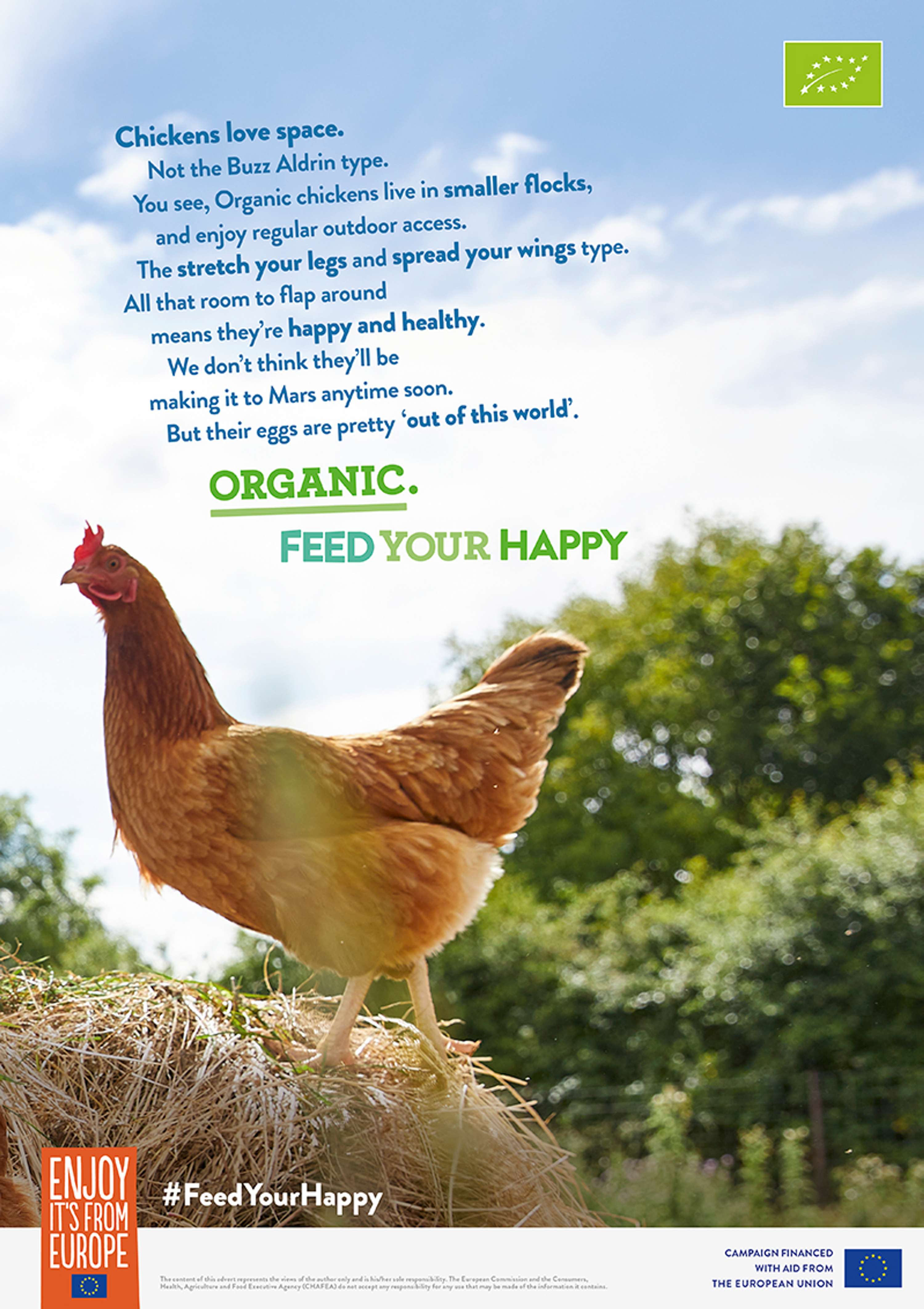 Feed Your Happy by Martin Homent