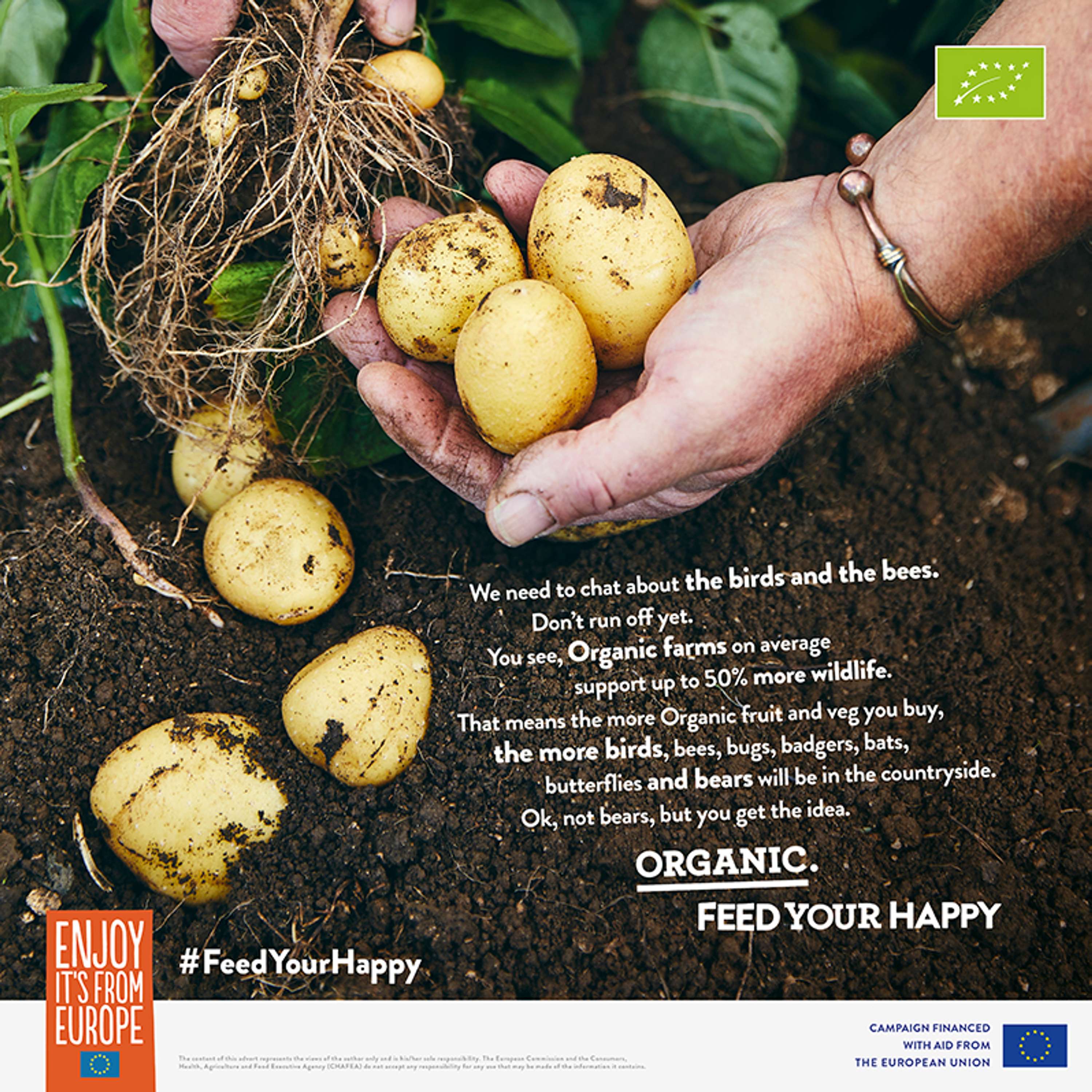 Feed Your Happy by Martin Homent