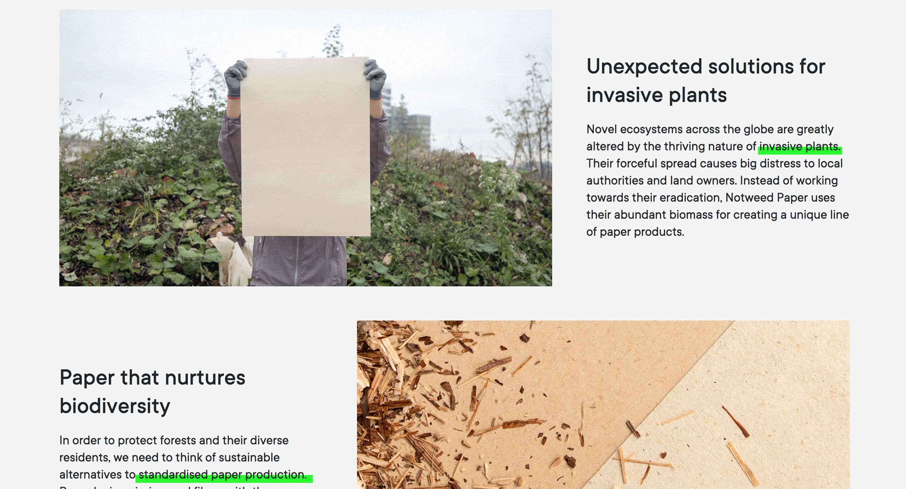 Notweed Paper Website by Elliott Taylor