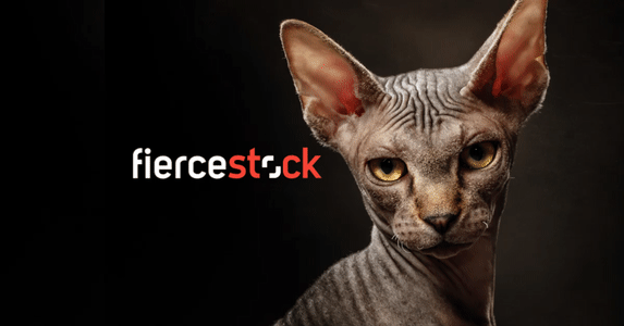 Take Another Look and See Why It’s Not Stock, It’s Shutterstock by Shutterstock
