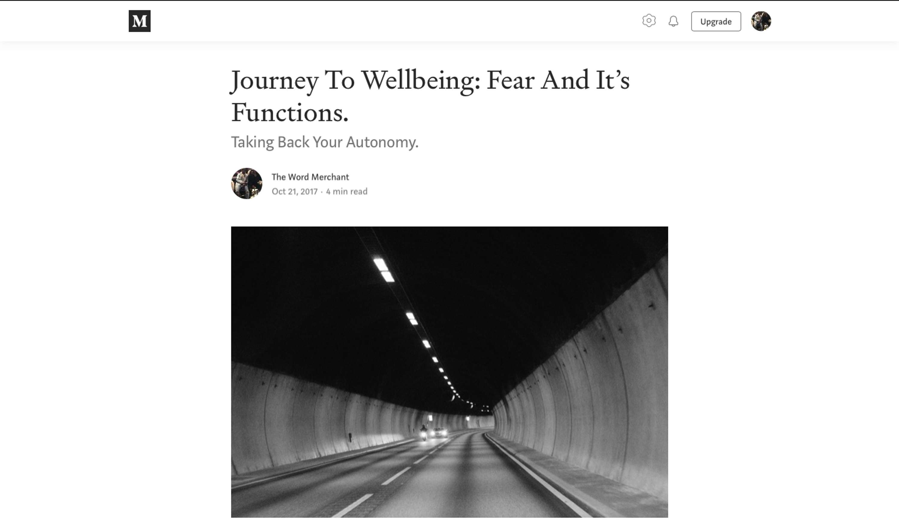 Journey To Wellbeing: Fear And It's Functions. by Ahmed Osinaike