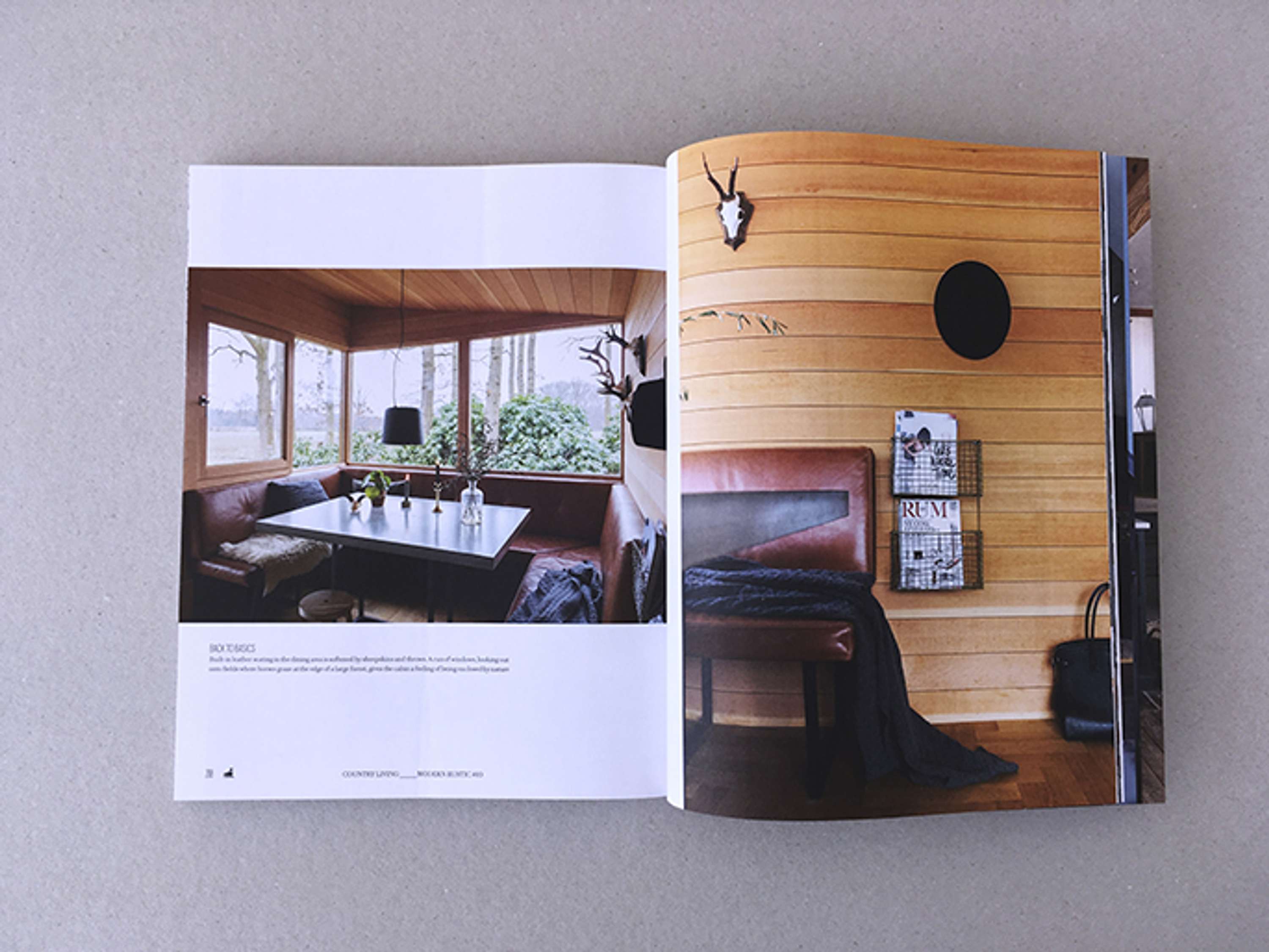 Modern Rustic by Carolyn Rea