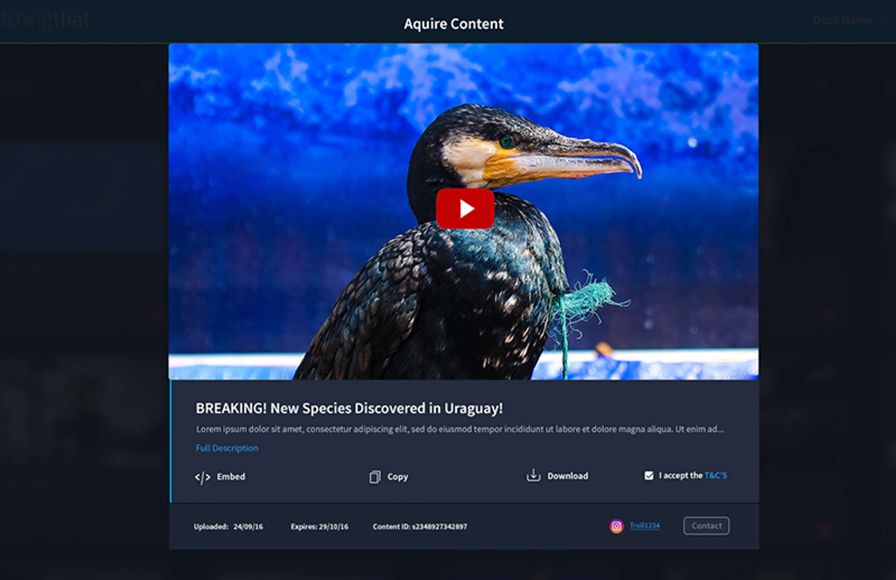 Watching That Video Dashboard by Pete Brady