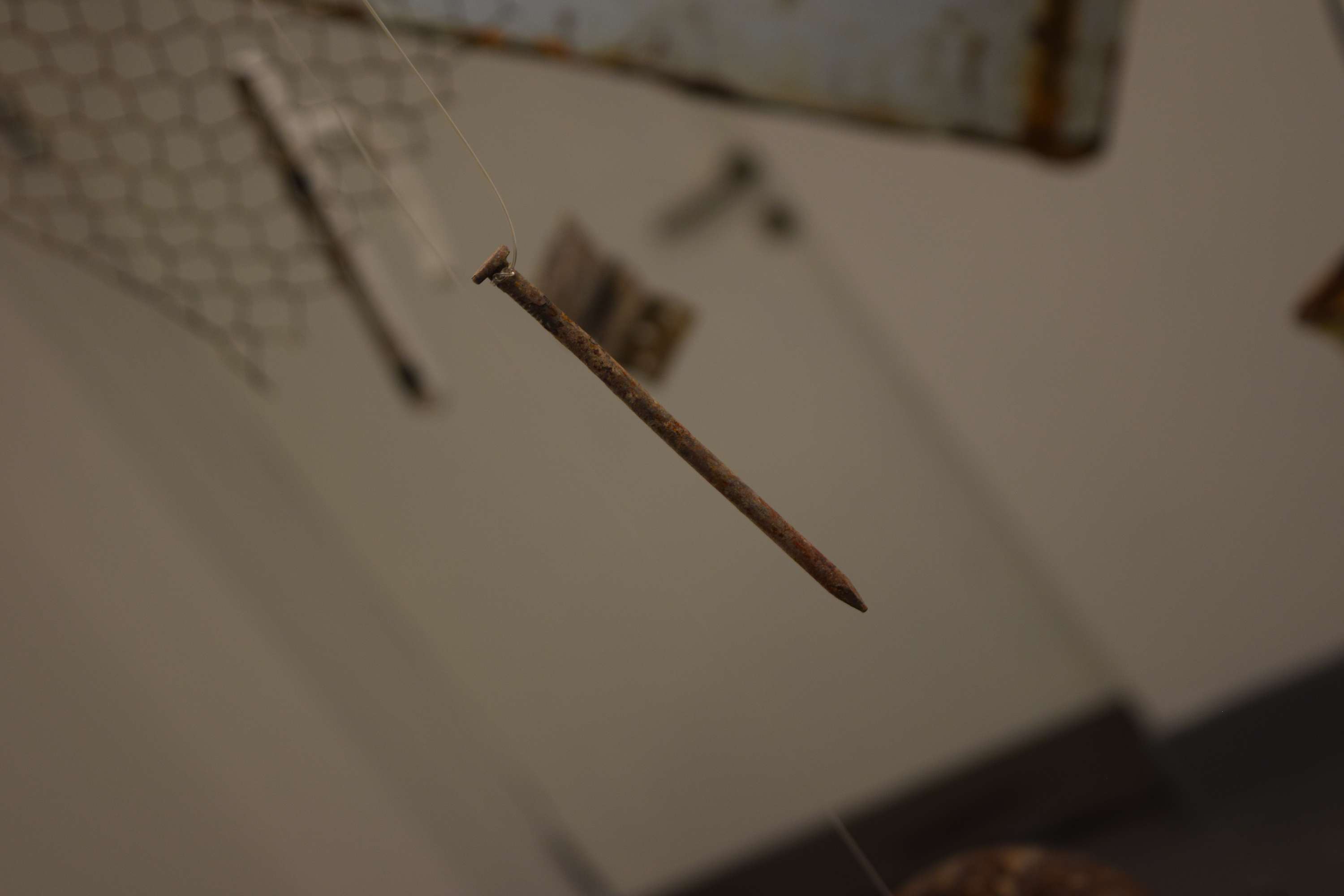 Stuck in Time - Installation by Ellie Summers