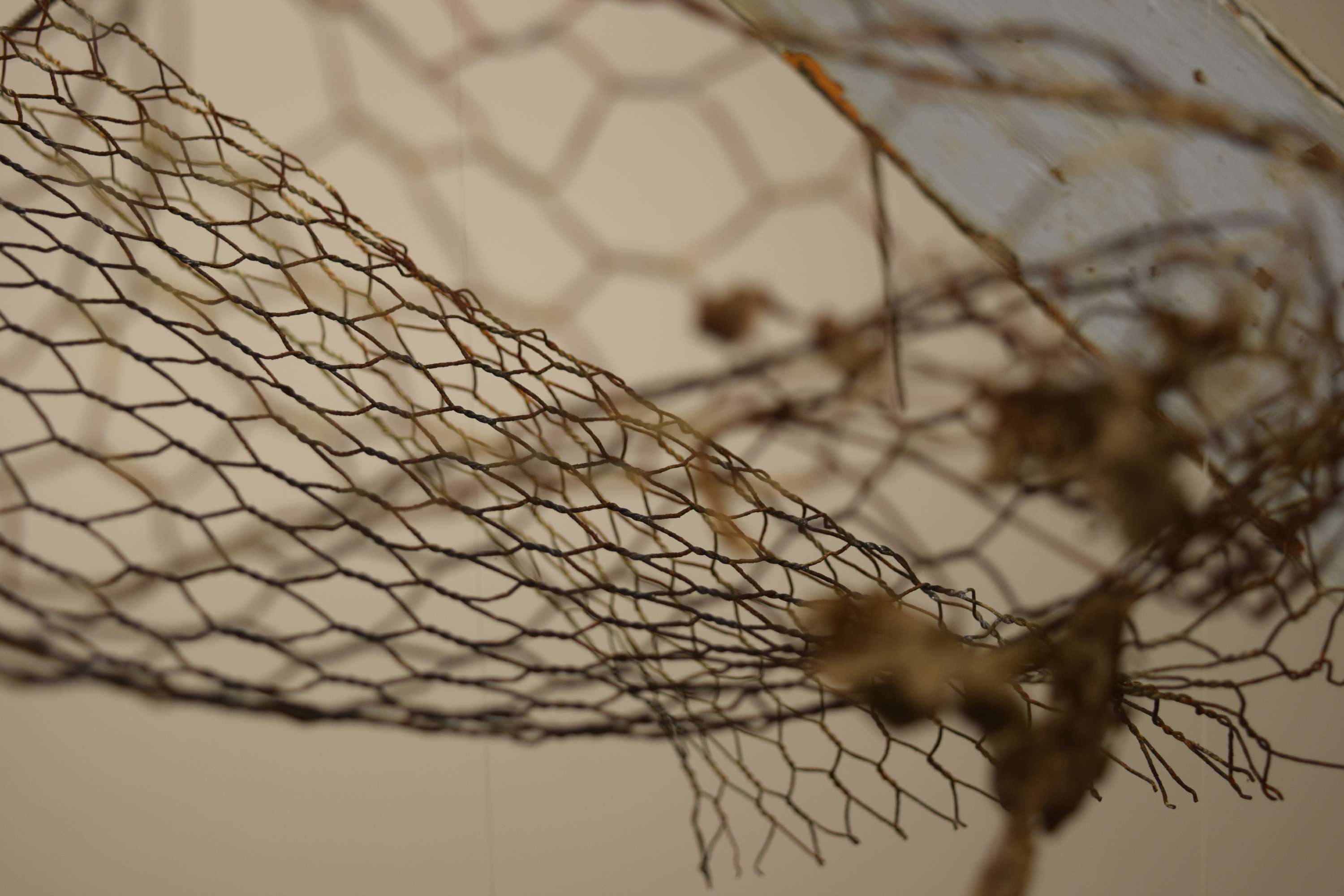 Stuck in Time - Installation by Ellie Summers