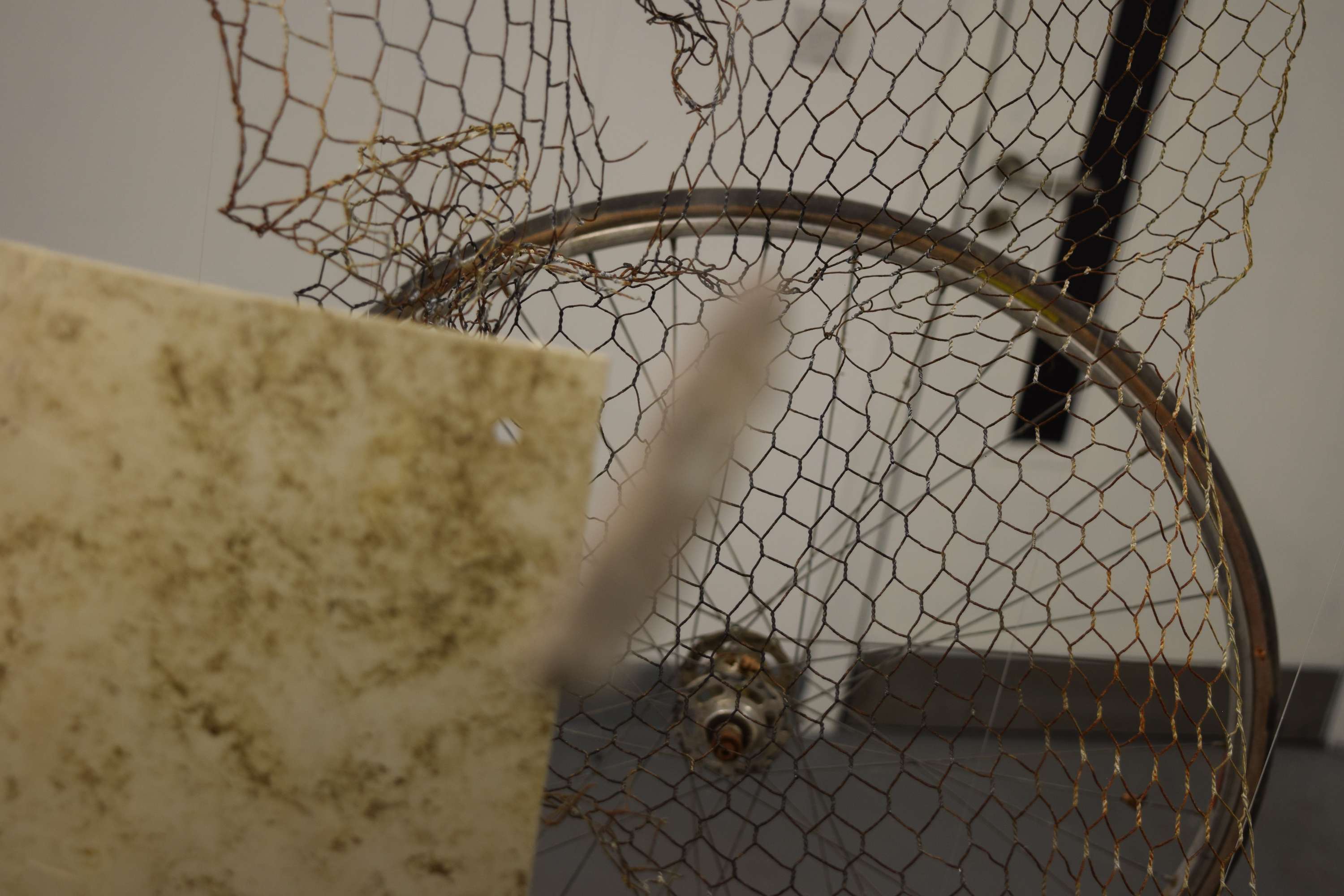 Stuck in Time - Installation by Ellie Summers