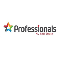 Professionals MV Real Estate logo