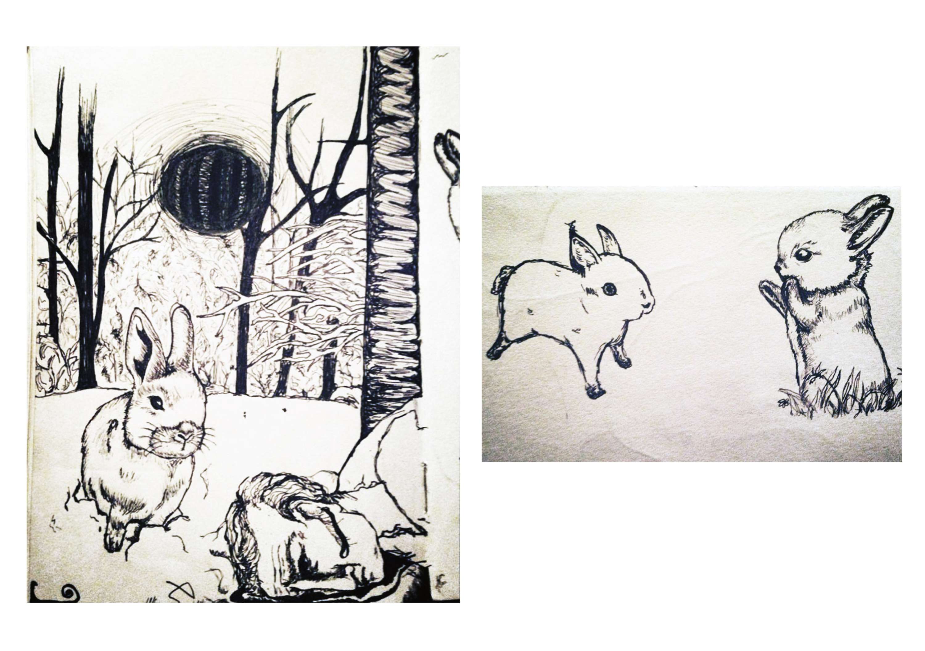 Collection of drawings by Edie Lee