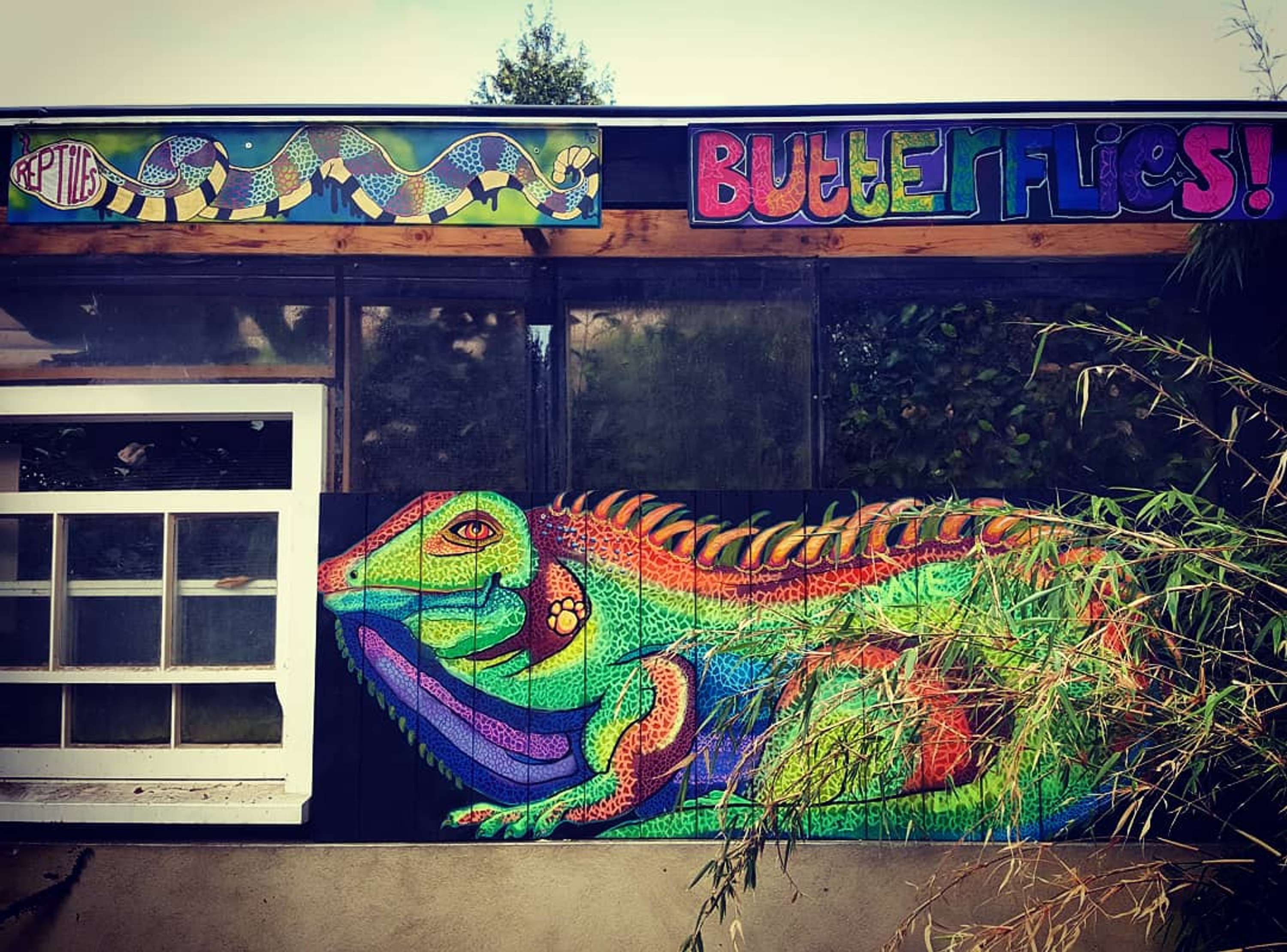 Summer Uni at Hanwell Zoo by Philly Bhambra