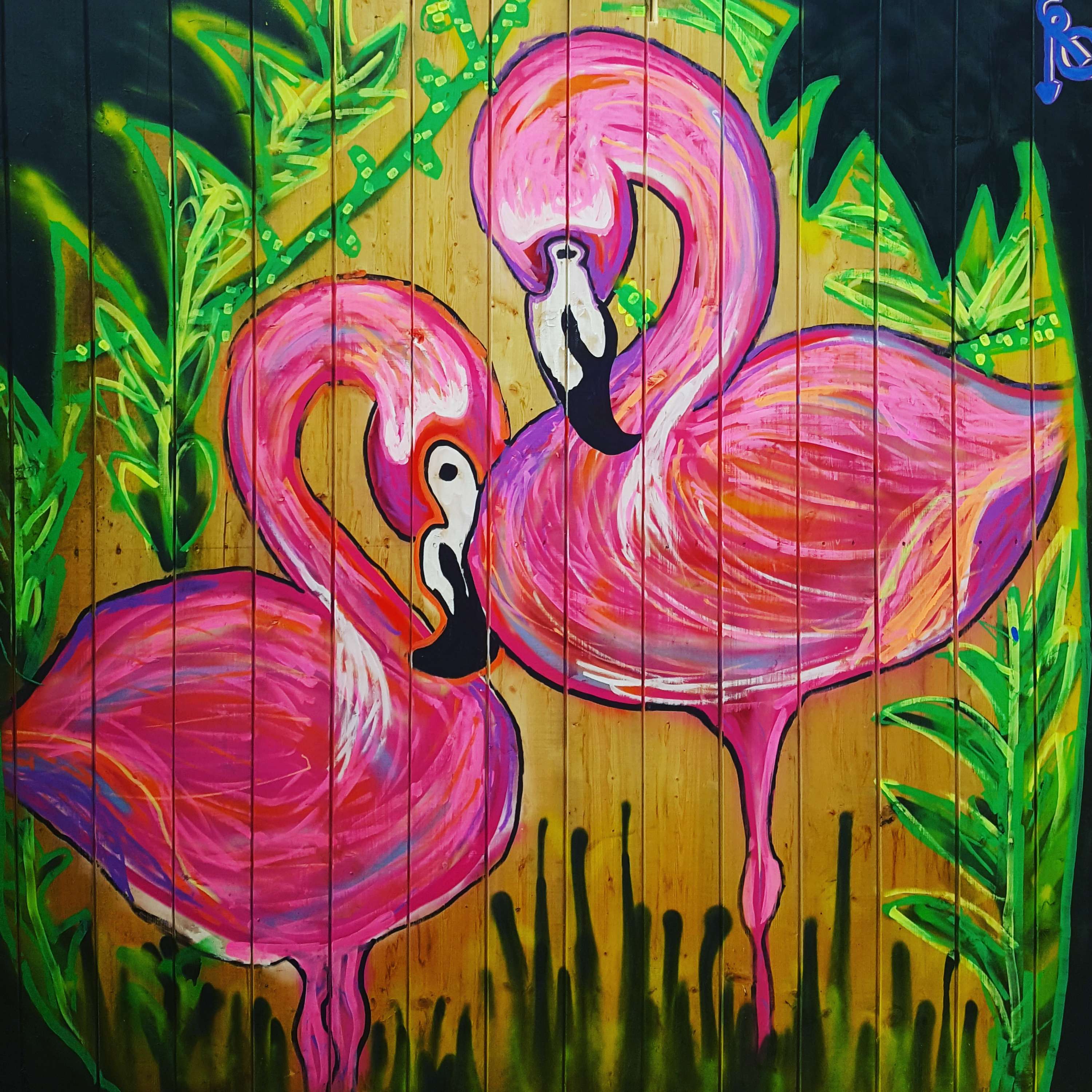 Summer Uni at Hanwell Zoo by Philly Bhambra