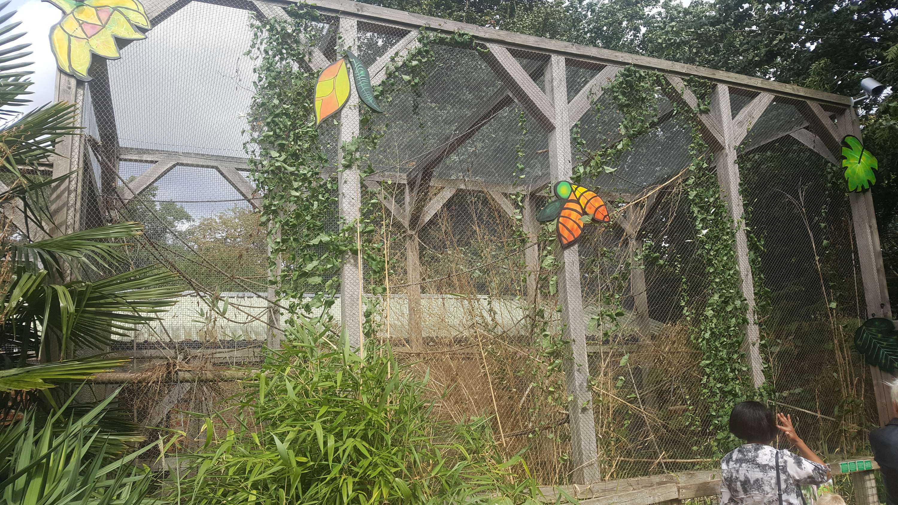 Summer Uni at Hanwell Zoo by Philly Bhambra