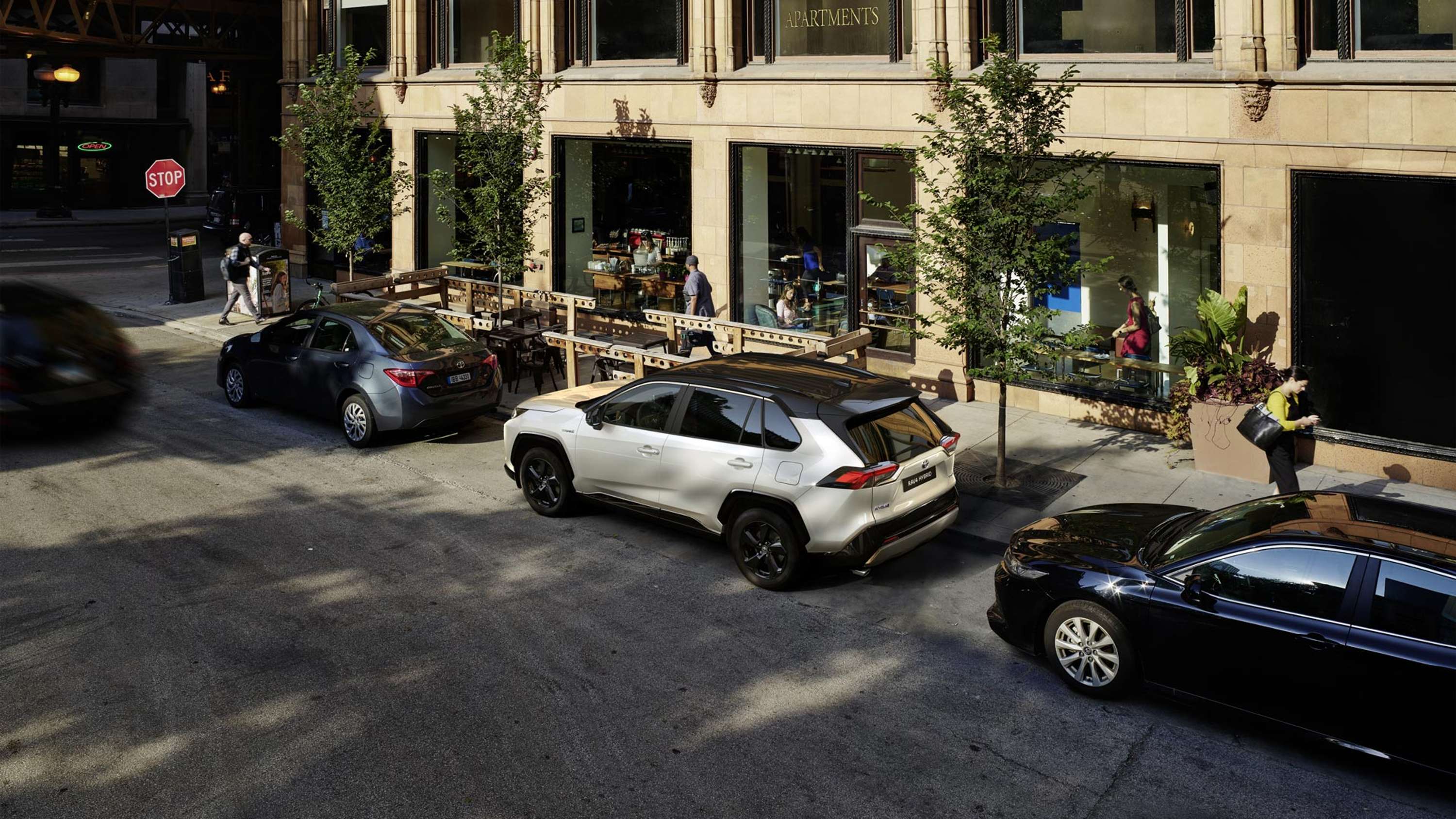 RAV4 Model Year 2019 by Vaughn Meyer