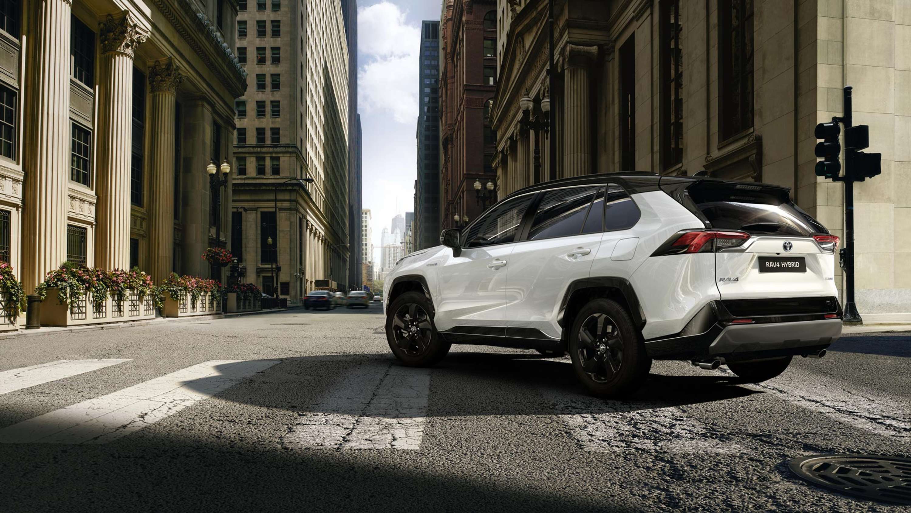 RAV4 Model Year 2019 by Vaughn Meyer