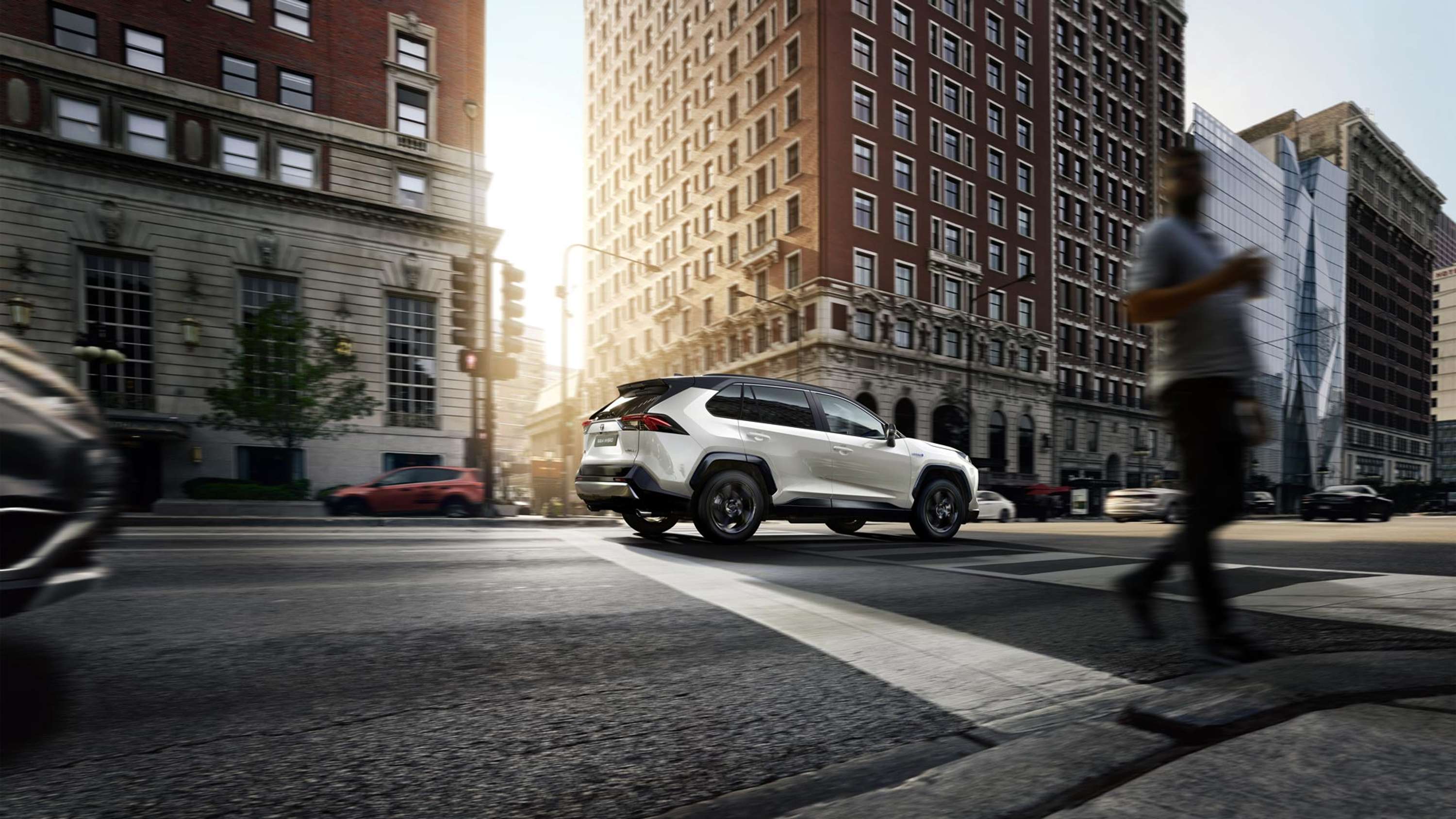 RAV4 Model Year 2019 by Vaughn Meyer