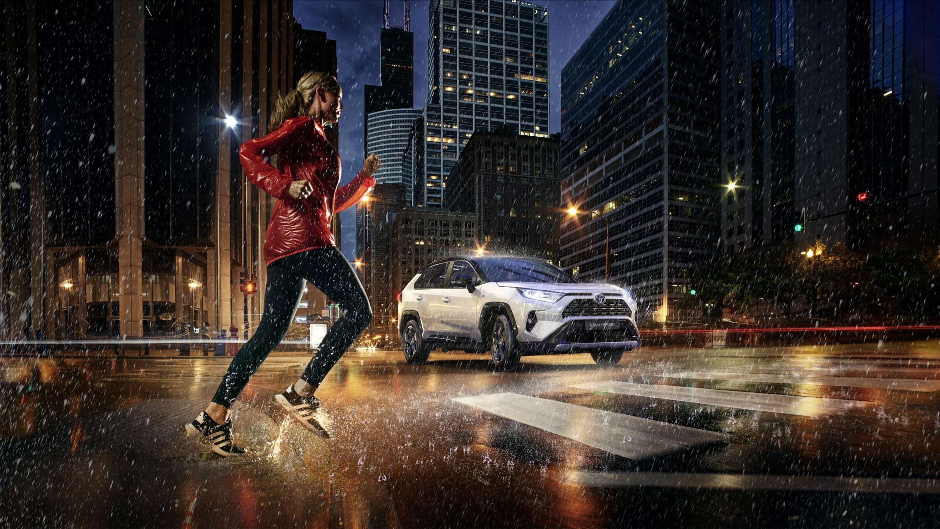 RAV4 Model Year 2019 by Vaughn Meyer