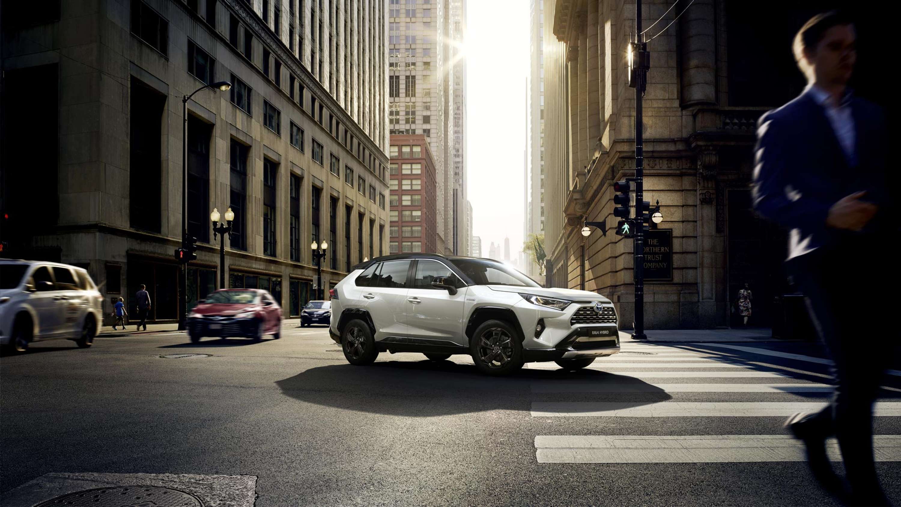 RAV4 Model Year 2019 by Vaughn Meyer