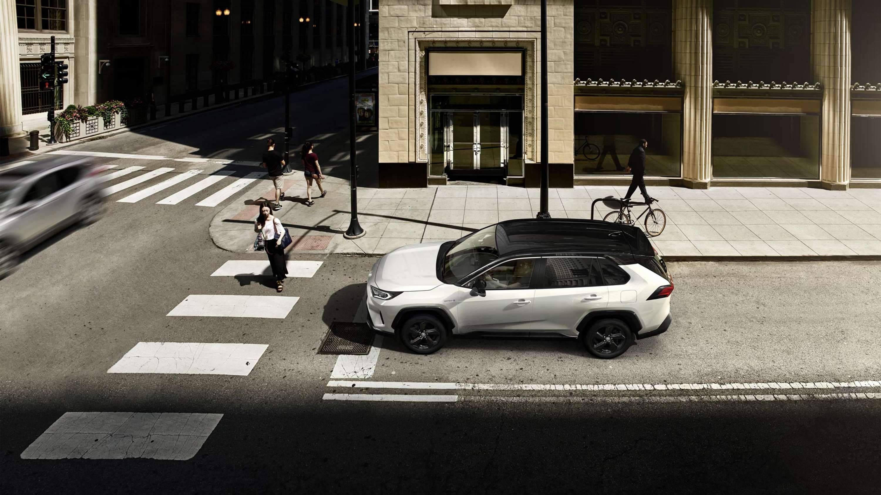 RAV4 Model Year 2019 by Vaughn Meyer