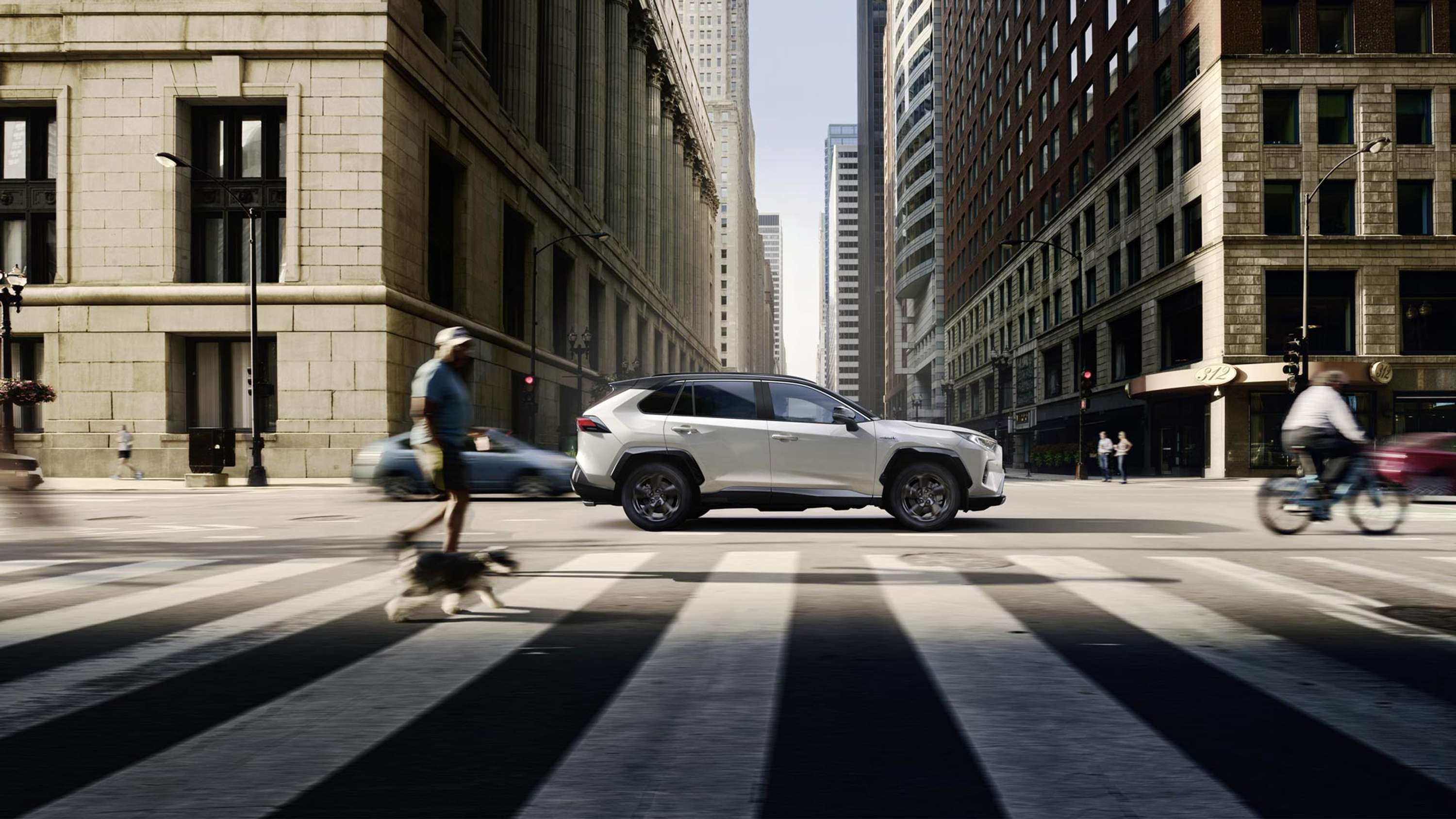 RAV4 Model Year 2019 by Vaughn Meyer