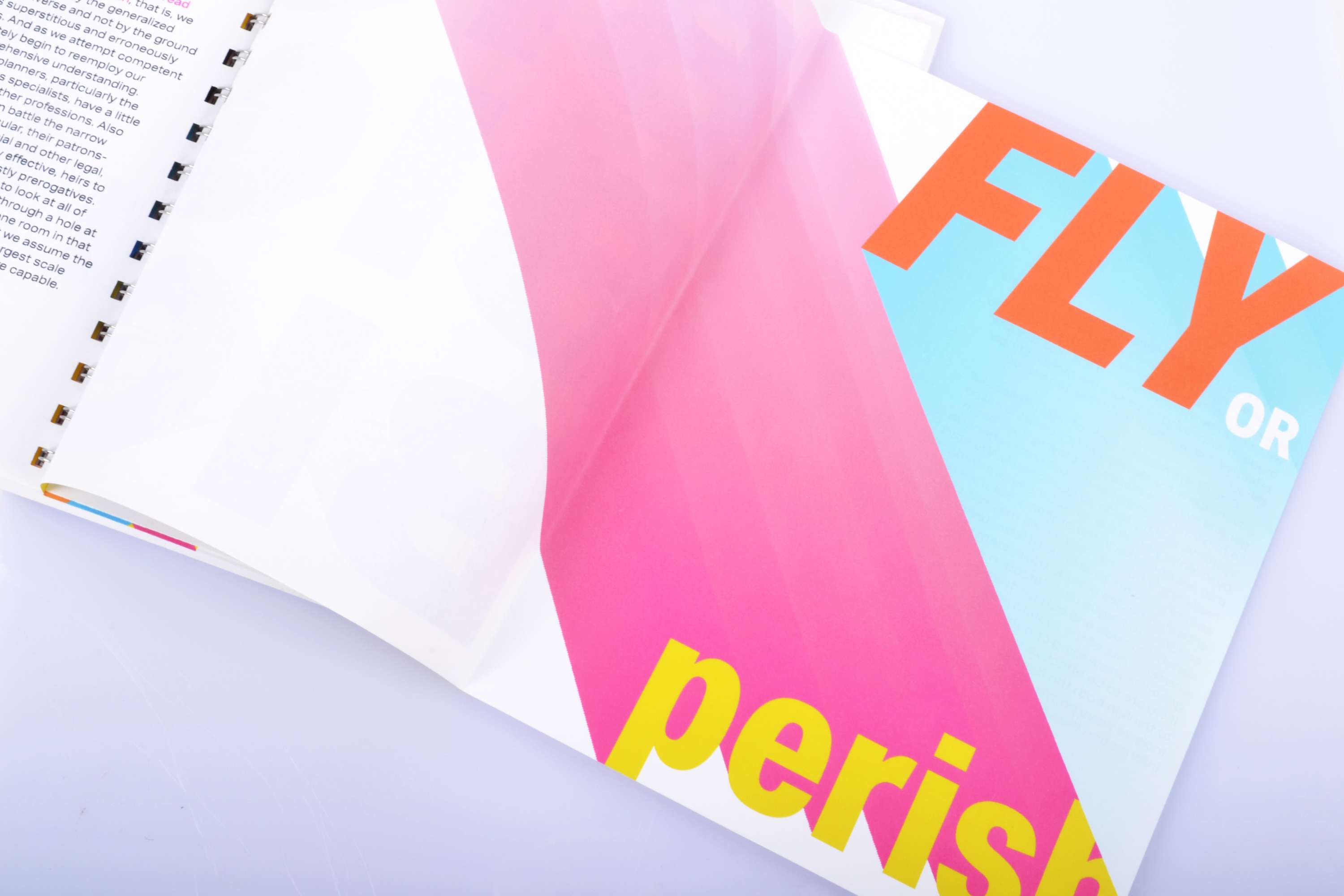 Editorial Design by Niamh Cusack