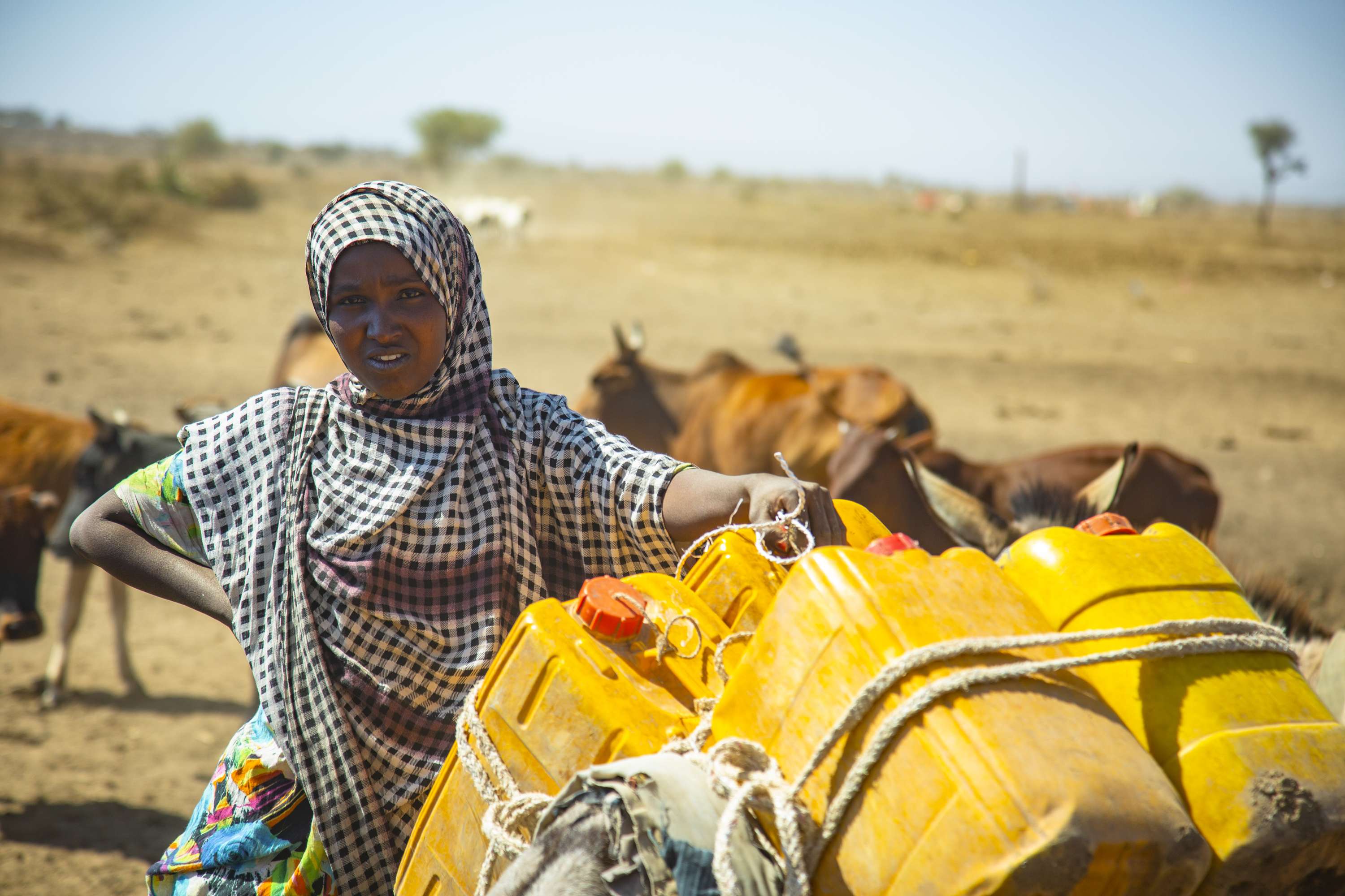 Somaliland, 2017 by Munya Chidakwa