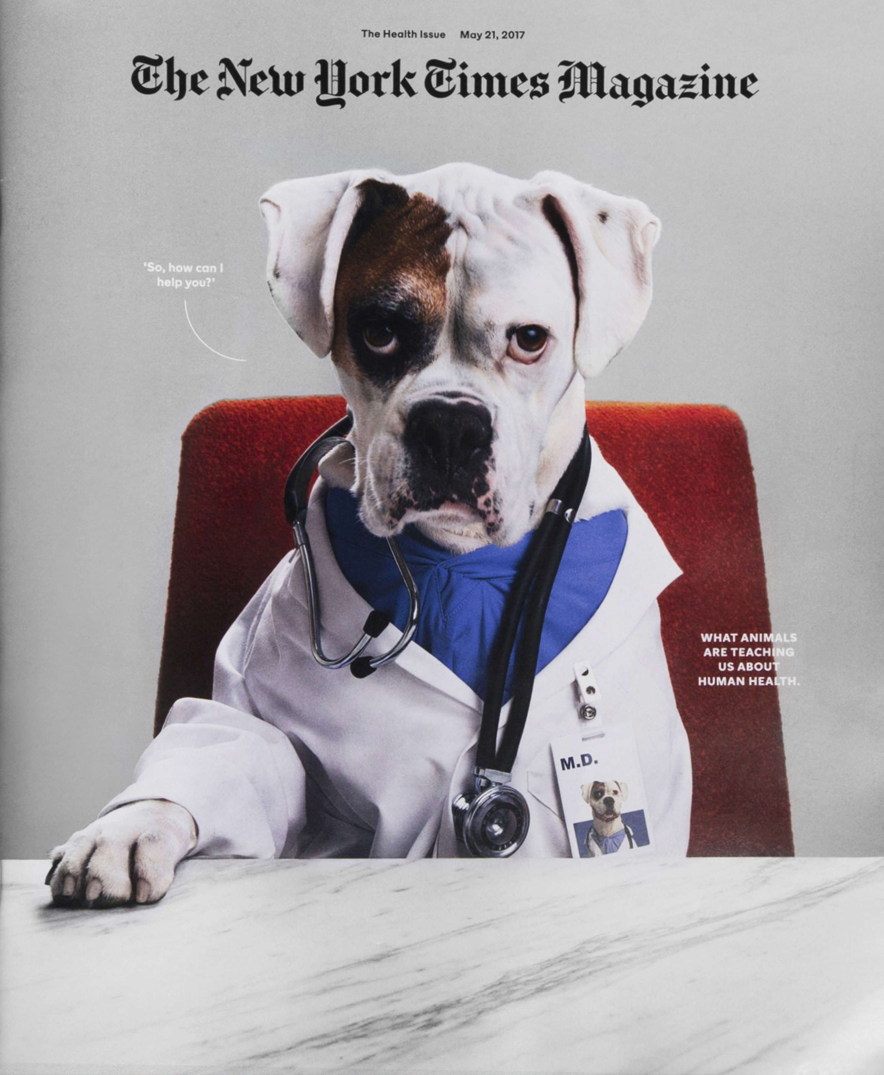 The New York Times Magazine Cover by Matteo Giuseppe Pani