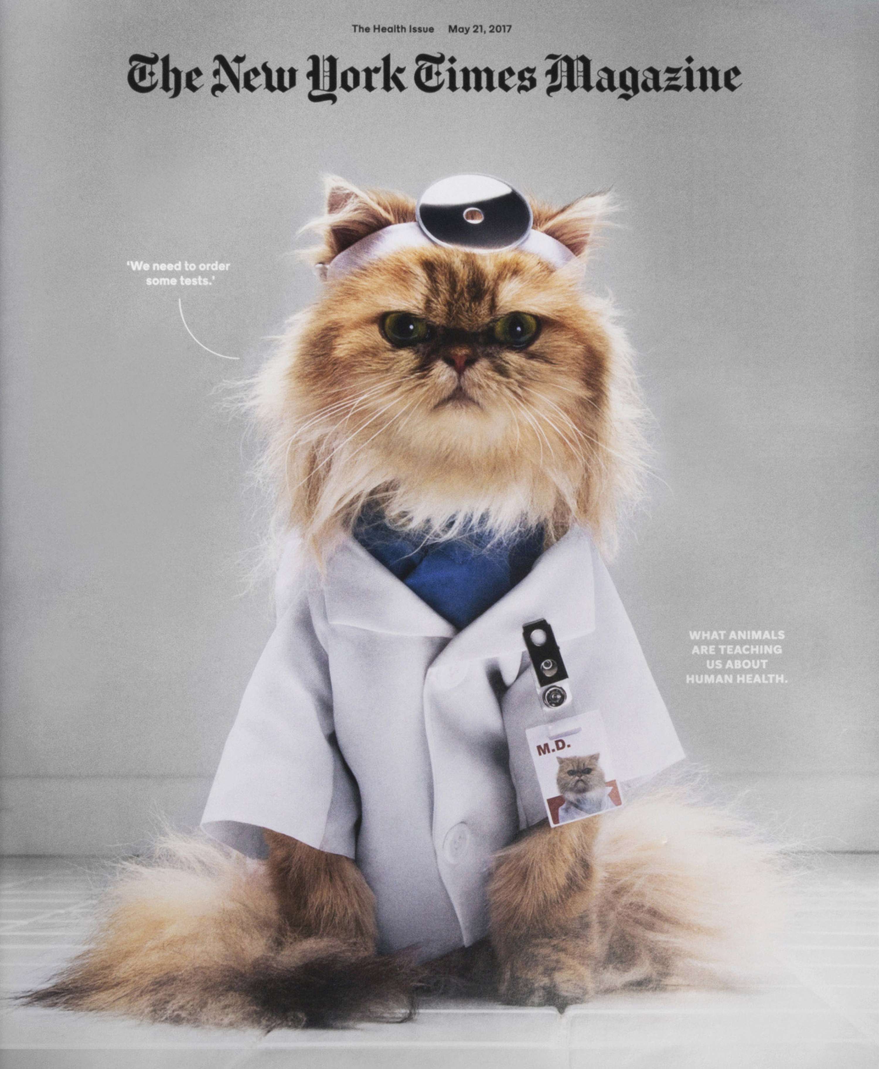 The New York Times Magazine Cover by Matteo Giuseppe Pani