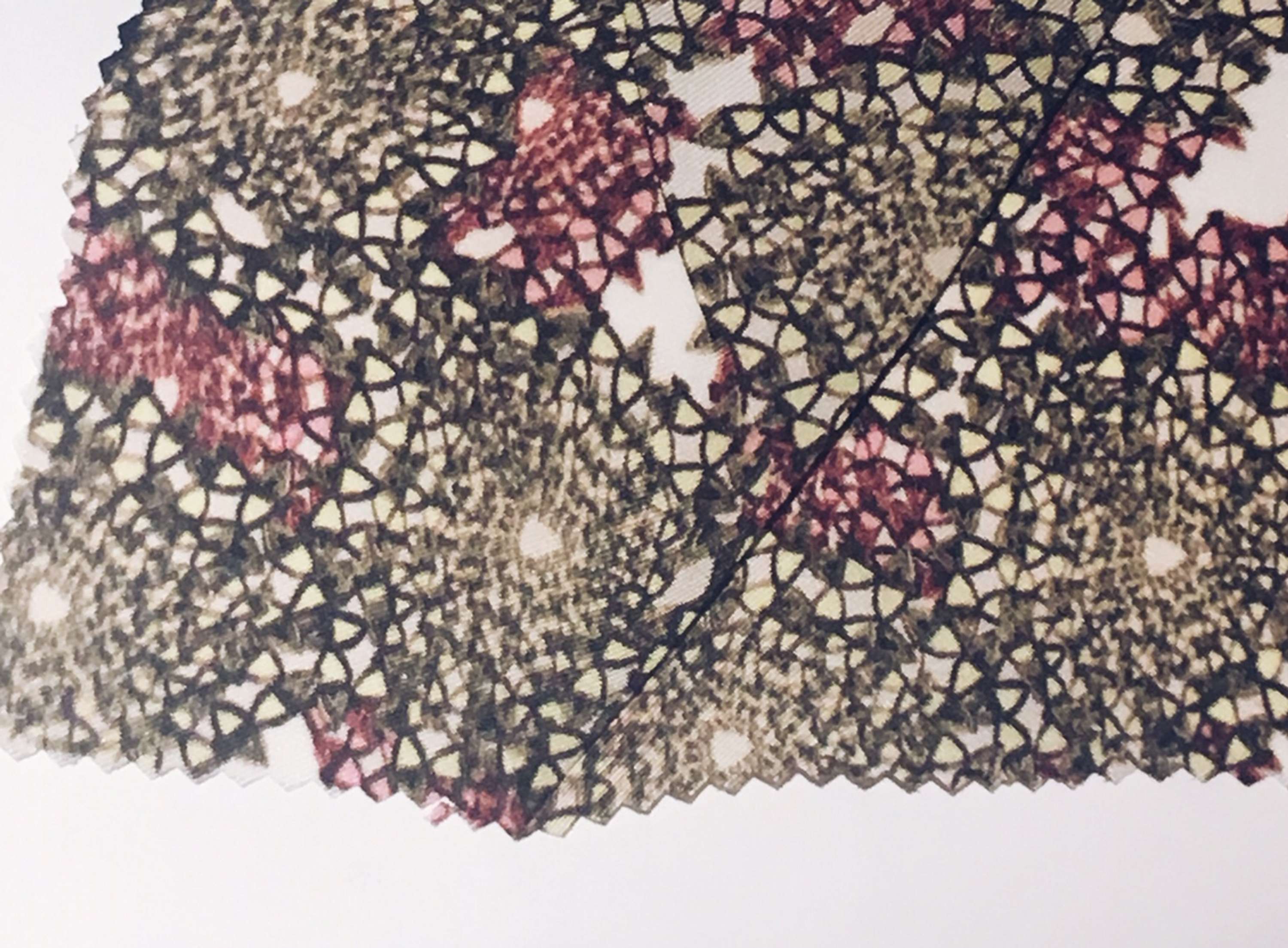 The  Acorn Within Her by Theodora Adjepong