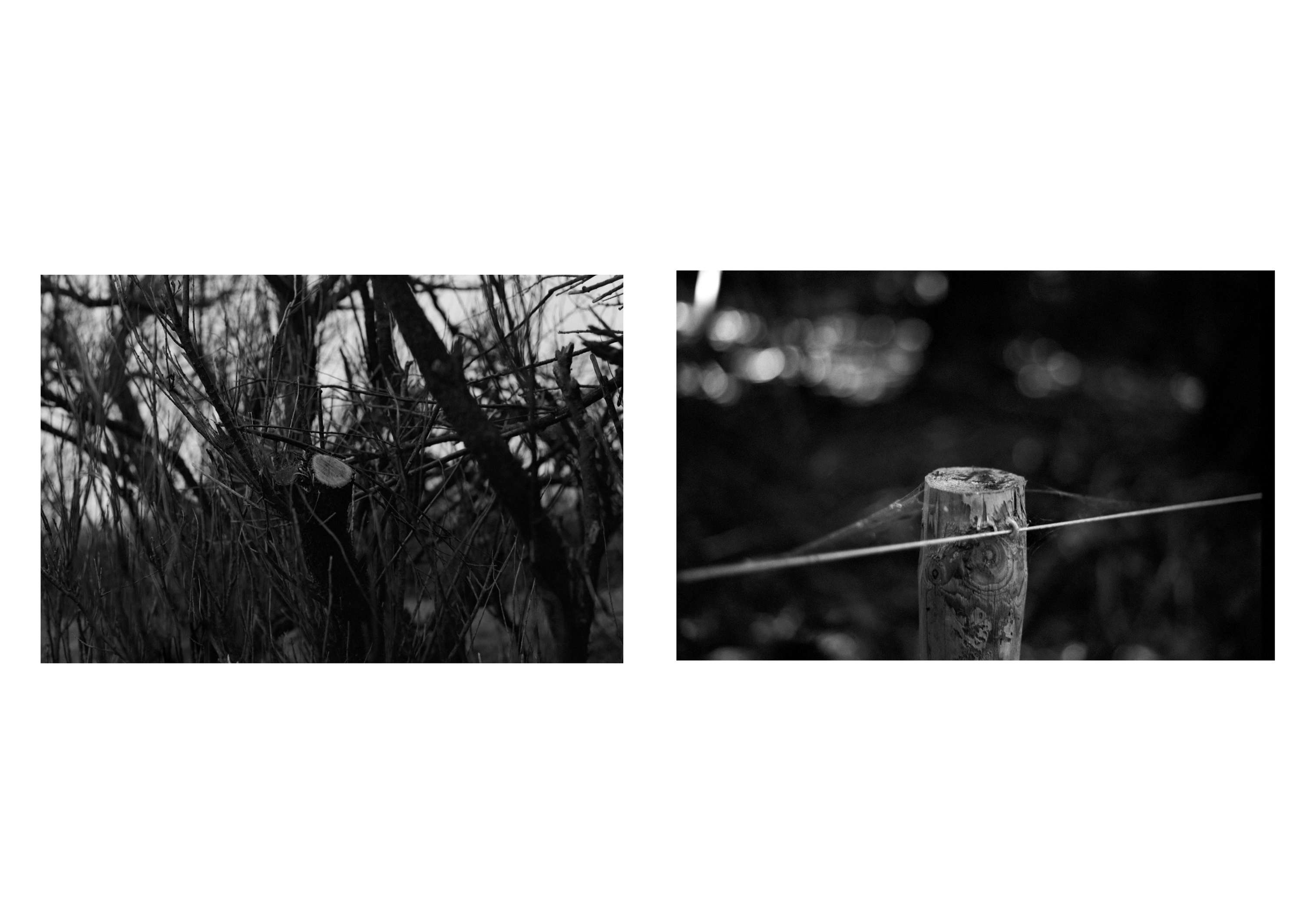 Ambient 4 : On Land by Simon Bray