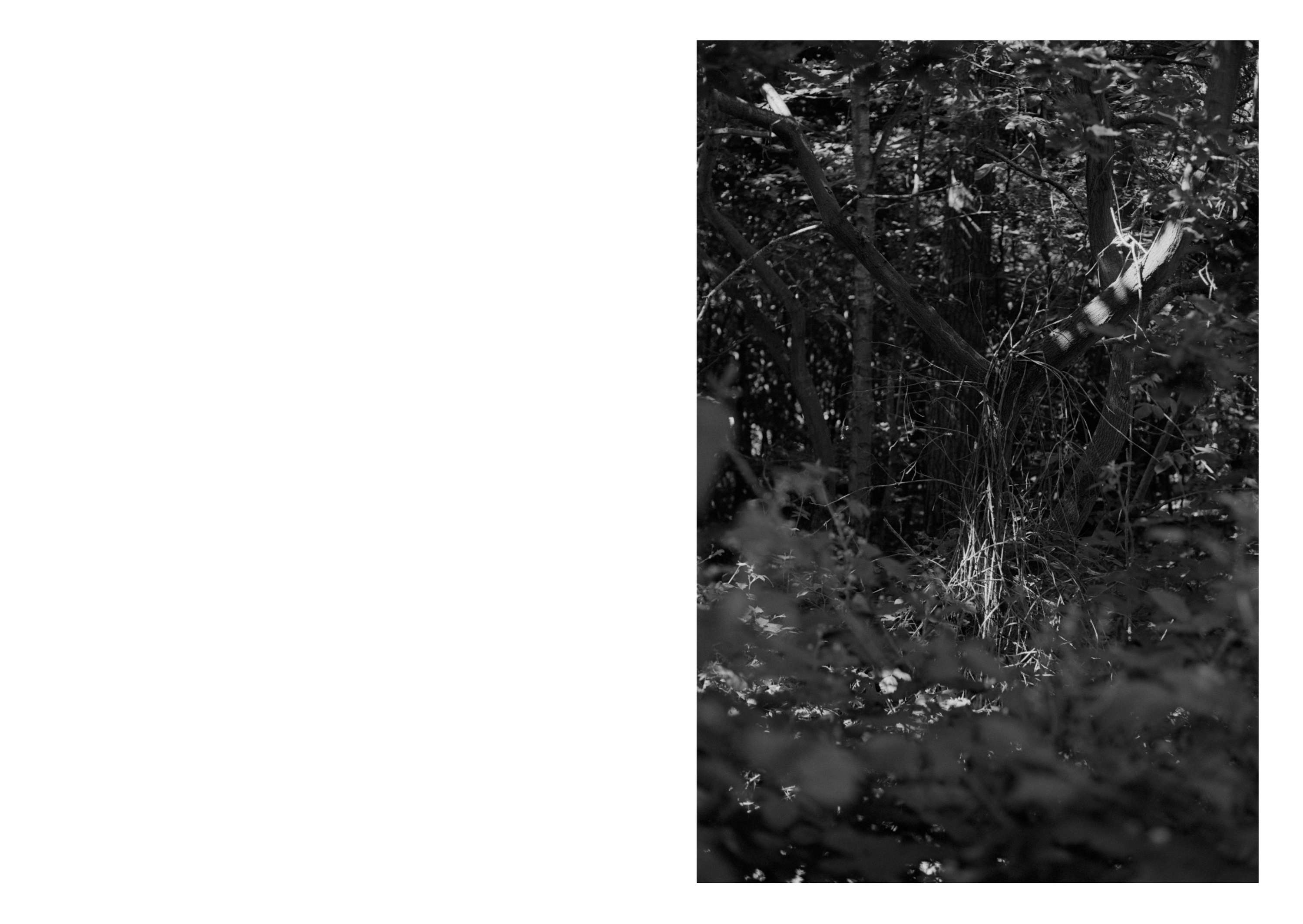 Ambient 4 : On Land by Simon Bray