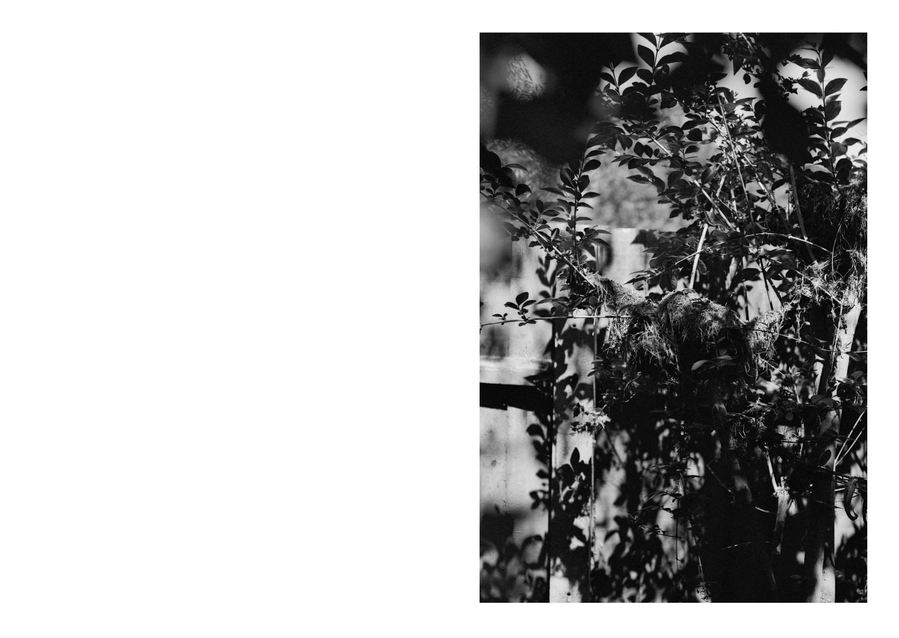 Ambient 4 : On Land by Simon Bray